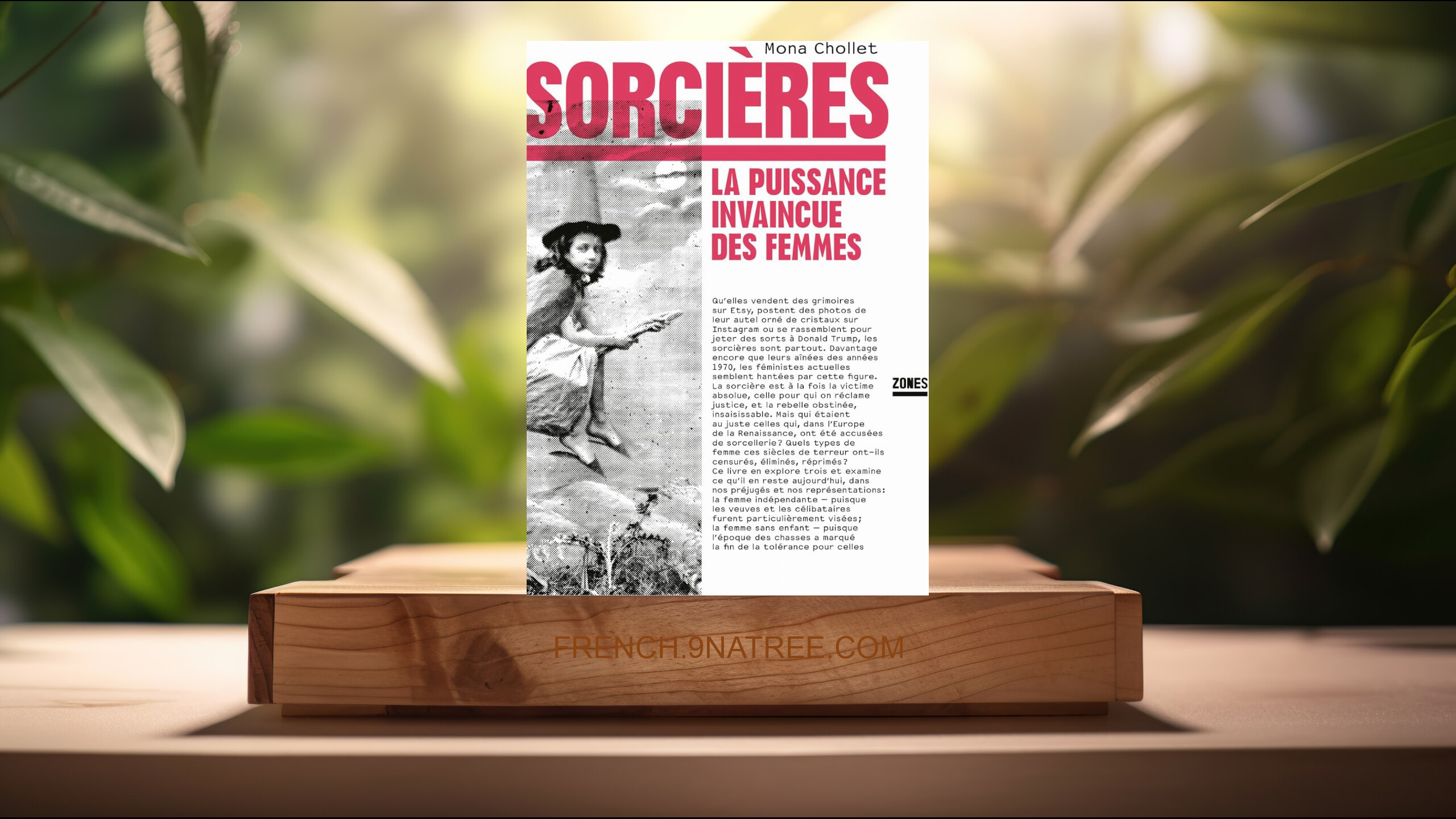 [Critique] Sorcières: La puissance invaincue des femmes (Mona Chollet) Résumé.