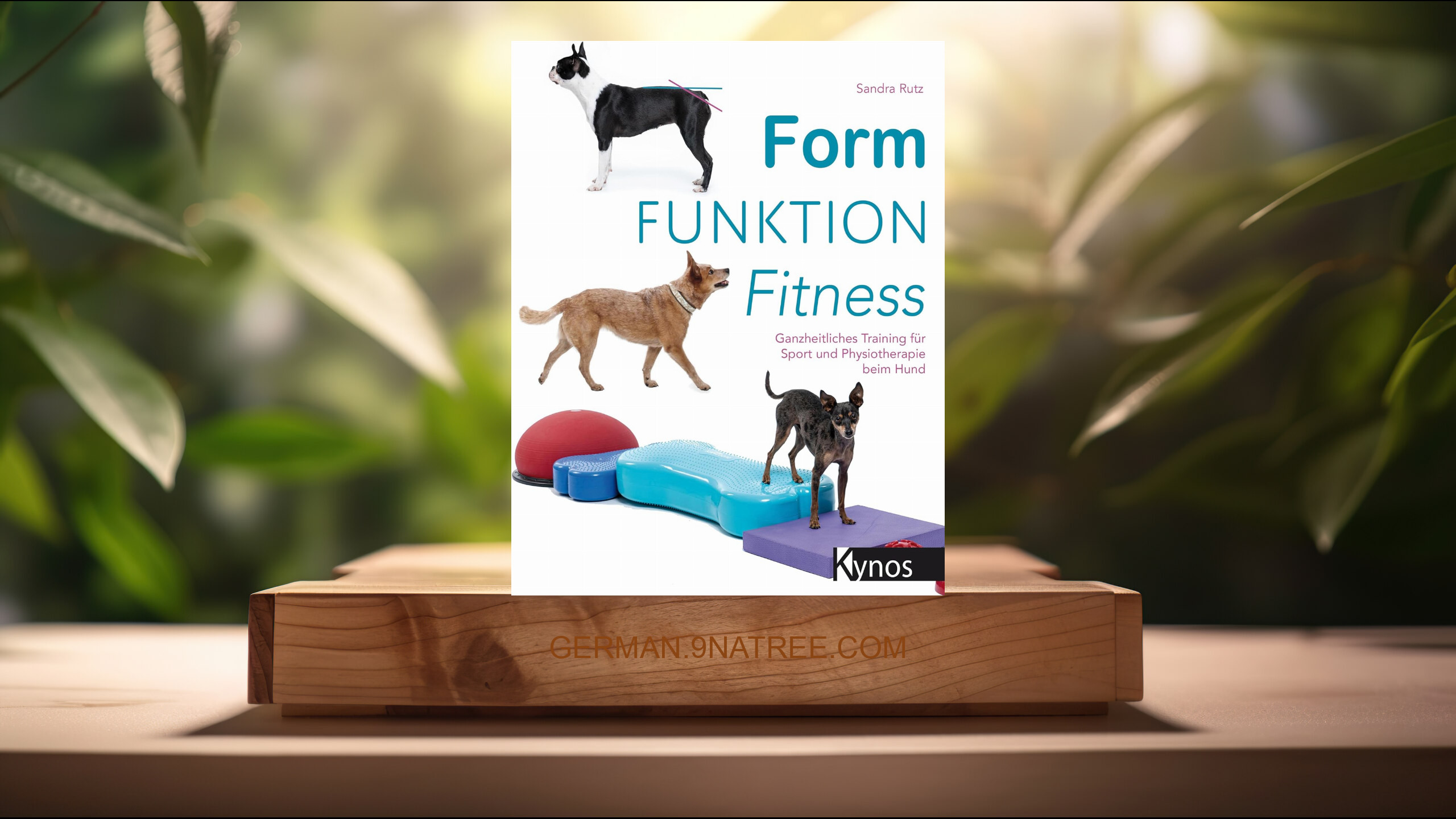 [Rezensiert] Form Funktion Fitness (Sandra Rutz) Zusammengefasst.