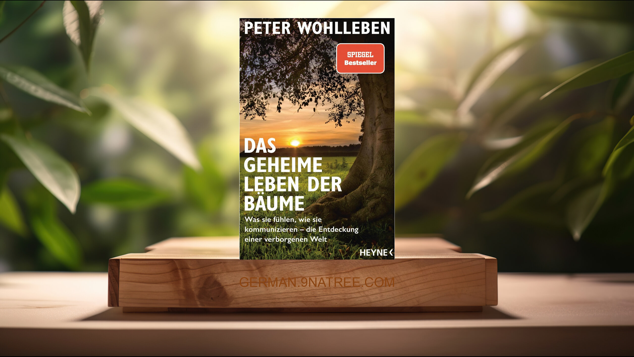 [Rezensiert] Das geheime leben der Bäume (Peter Wohlleben) Zusammengefasst.