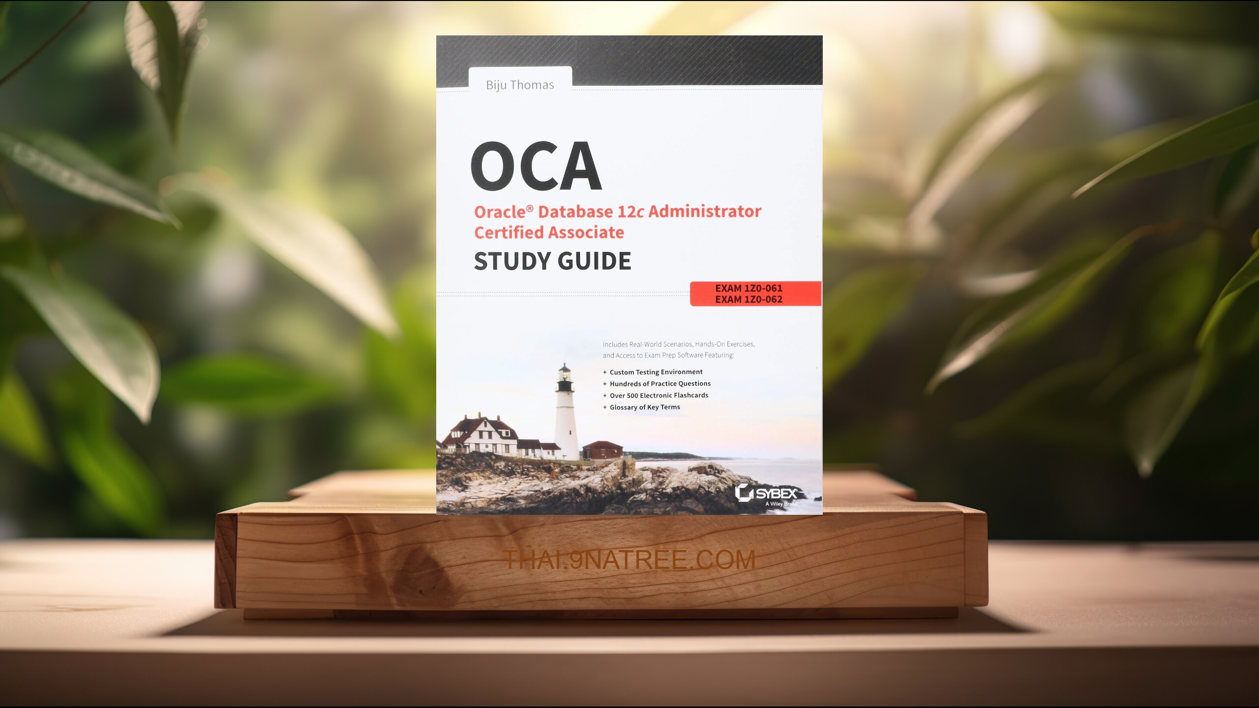 [รีวิว] OCA (Biju Thomas) สรุปหนังสือ.