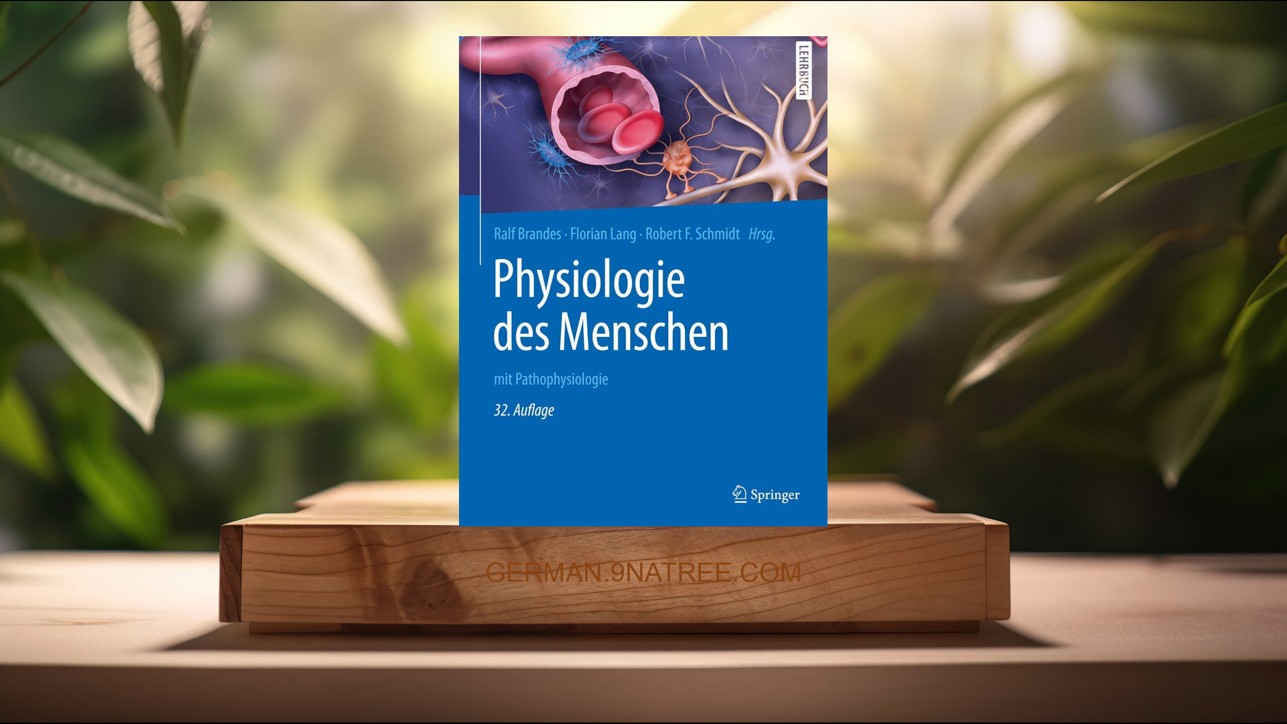 [Rezensiert] Physiologie des Menschen: mit Pathophysiologie  (Ralf Brandes) Zusammengefasst.