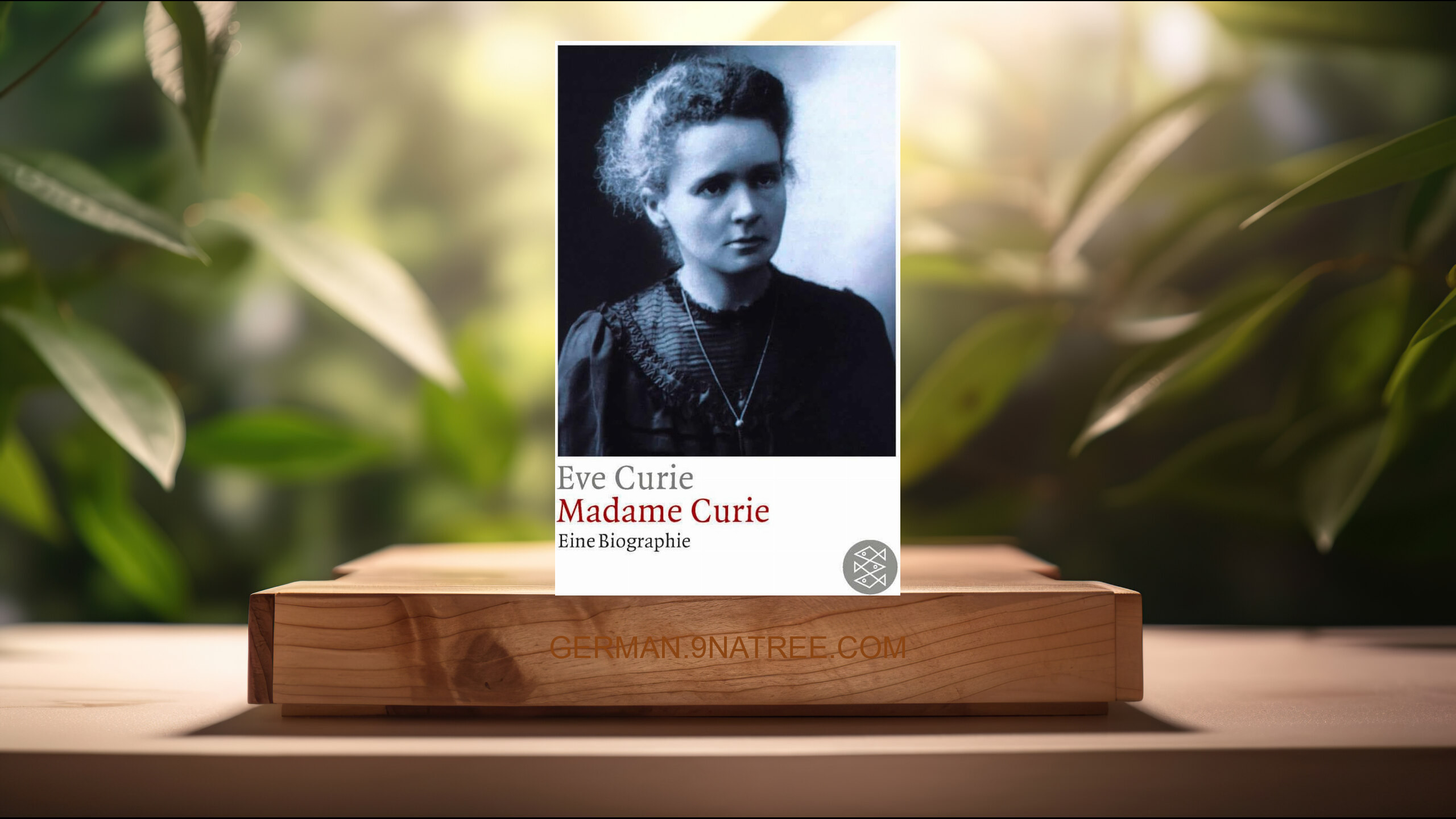 [Rezensiert] Madame Curie: Eine Biographie (Eve Curie) Zusammengefasst.