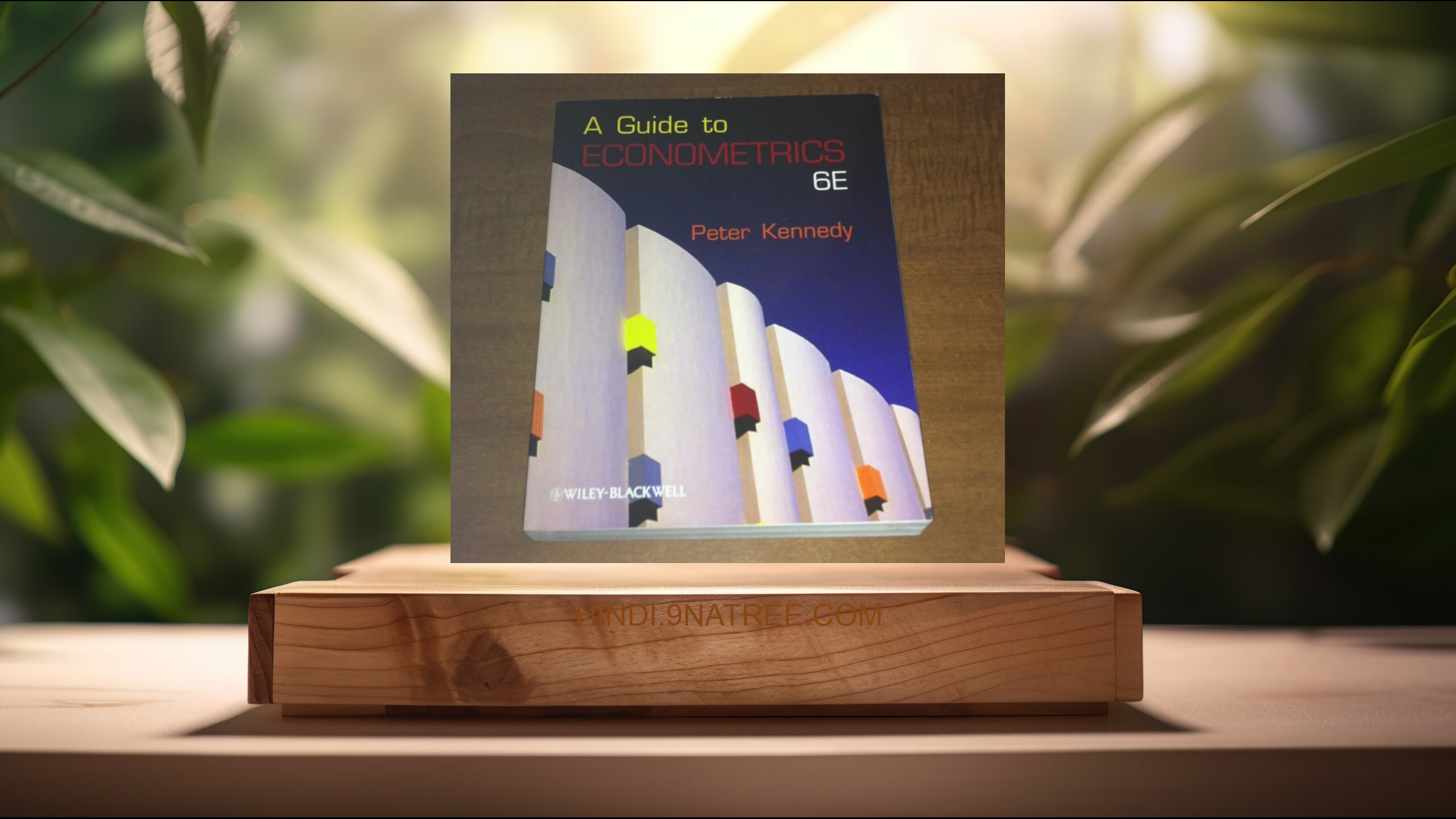 [समीक्षा] A Guide to Econometrics (Peter Kennedy) सारांशित. episode artwork