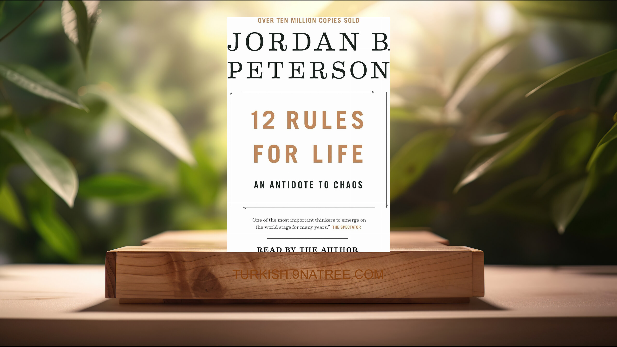 [İncelemesi] 12 Rules for Life: An Antidote to Chaos (Jordan B. Peterson) Özeti.