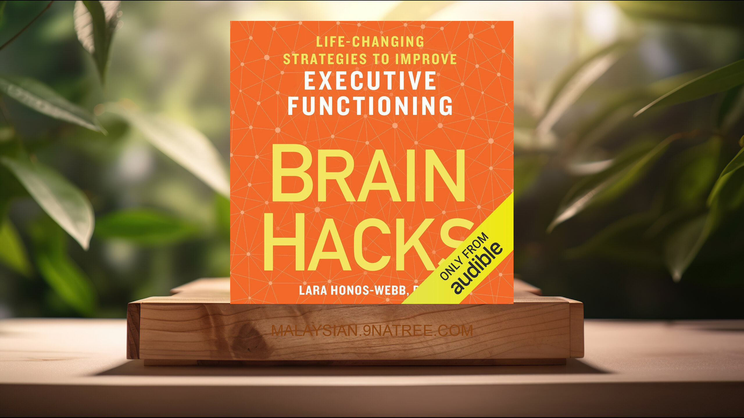 [Ulasan] Brain Hacks: Life-Changing Strategies to Improve Executive Functioning (Lara Honos-Webb PhD) Diringkaskan.