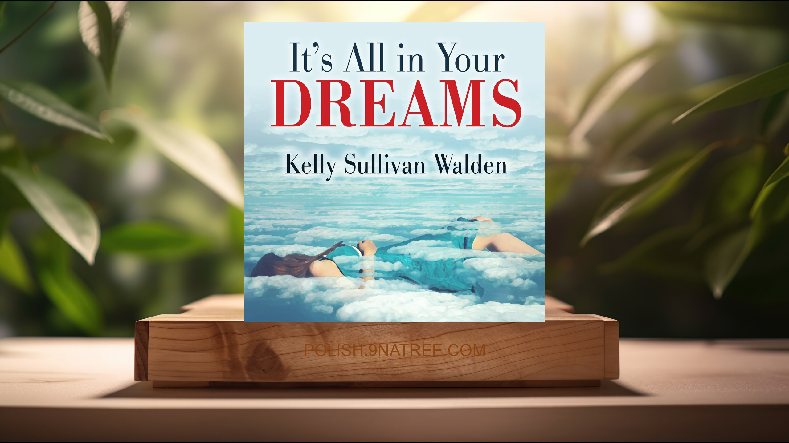 [Recenzja] It's All in Your Dreams (Kelly Sullivan Walden) Streszczenie.