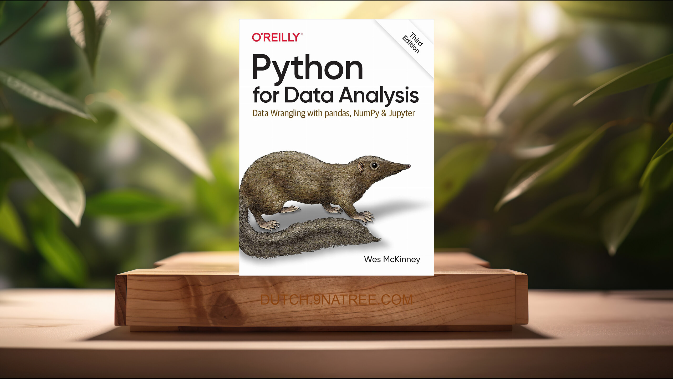 [Boekrecensie] Python for Data Analysis (Wes McKinney) Boeksamenvatting.