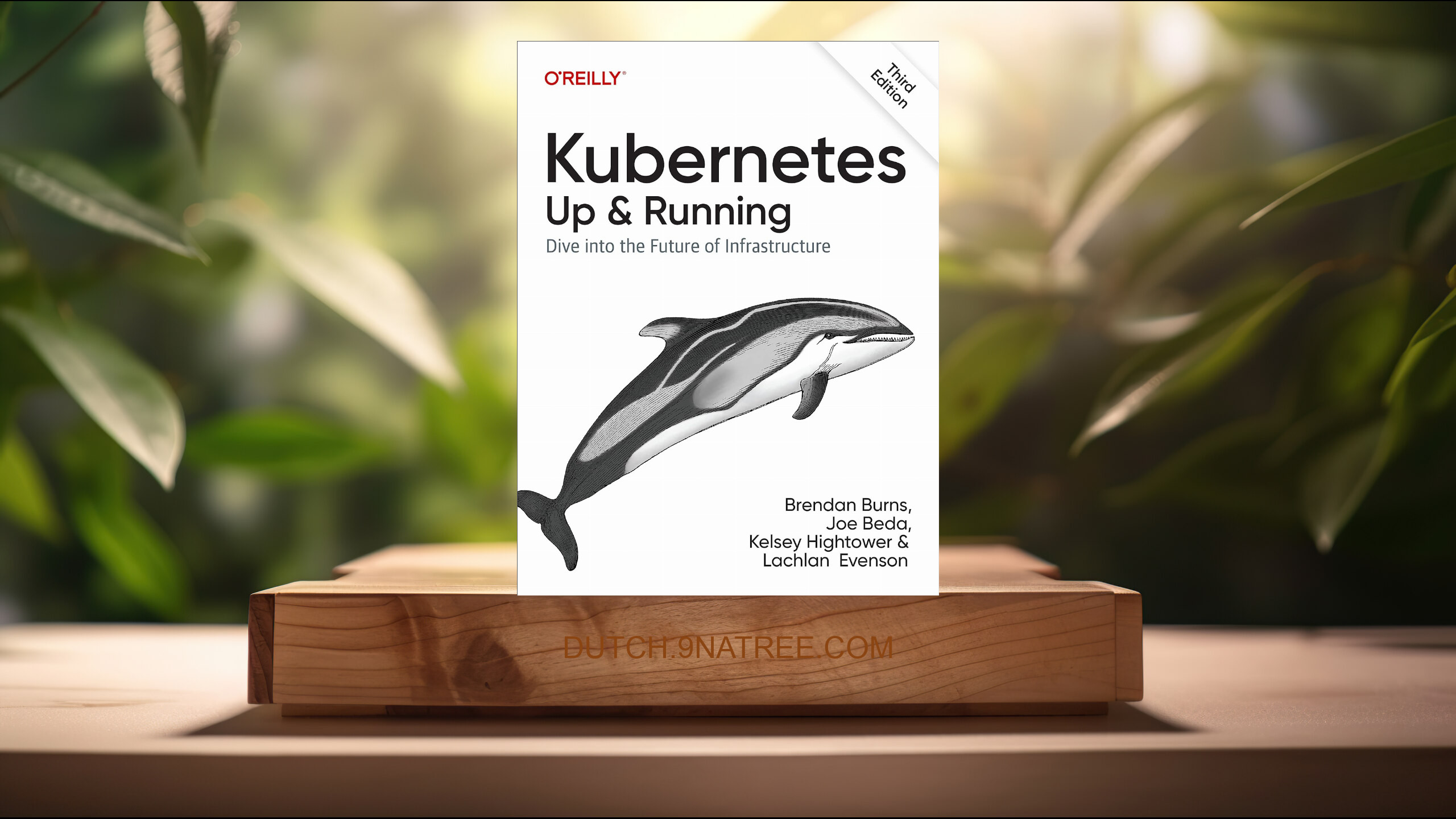 [Boekrecensie] Kubernetes: Up and Running: Dive into the Future of Infrastructure (Brendan Burns) Boeksamenvatting.