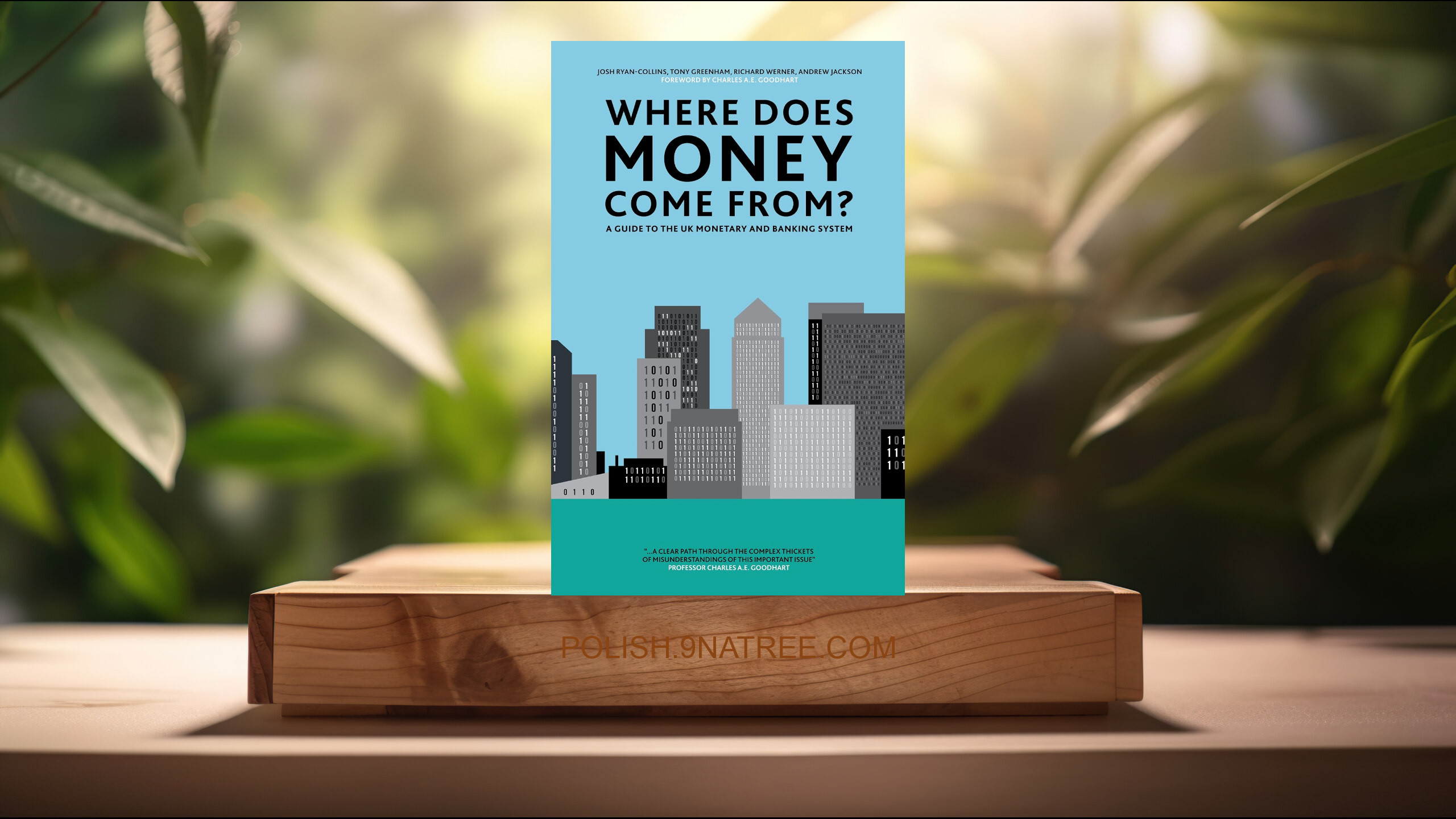 [Recenzja] Where Does Money Come From? (Josh Ryan-Collins) Streszczenie.