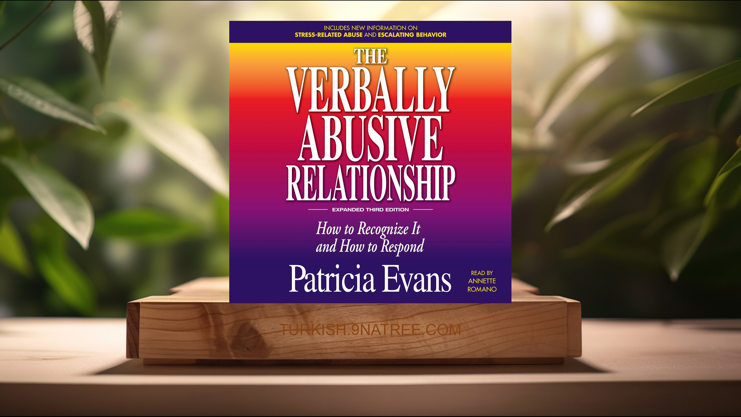 [İncelemesi] The Verbally Abusive Relationship, Expanded Third Edition (Patricia Evans) Özeti.