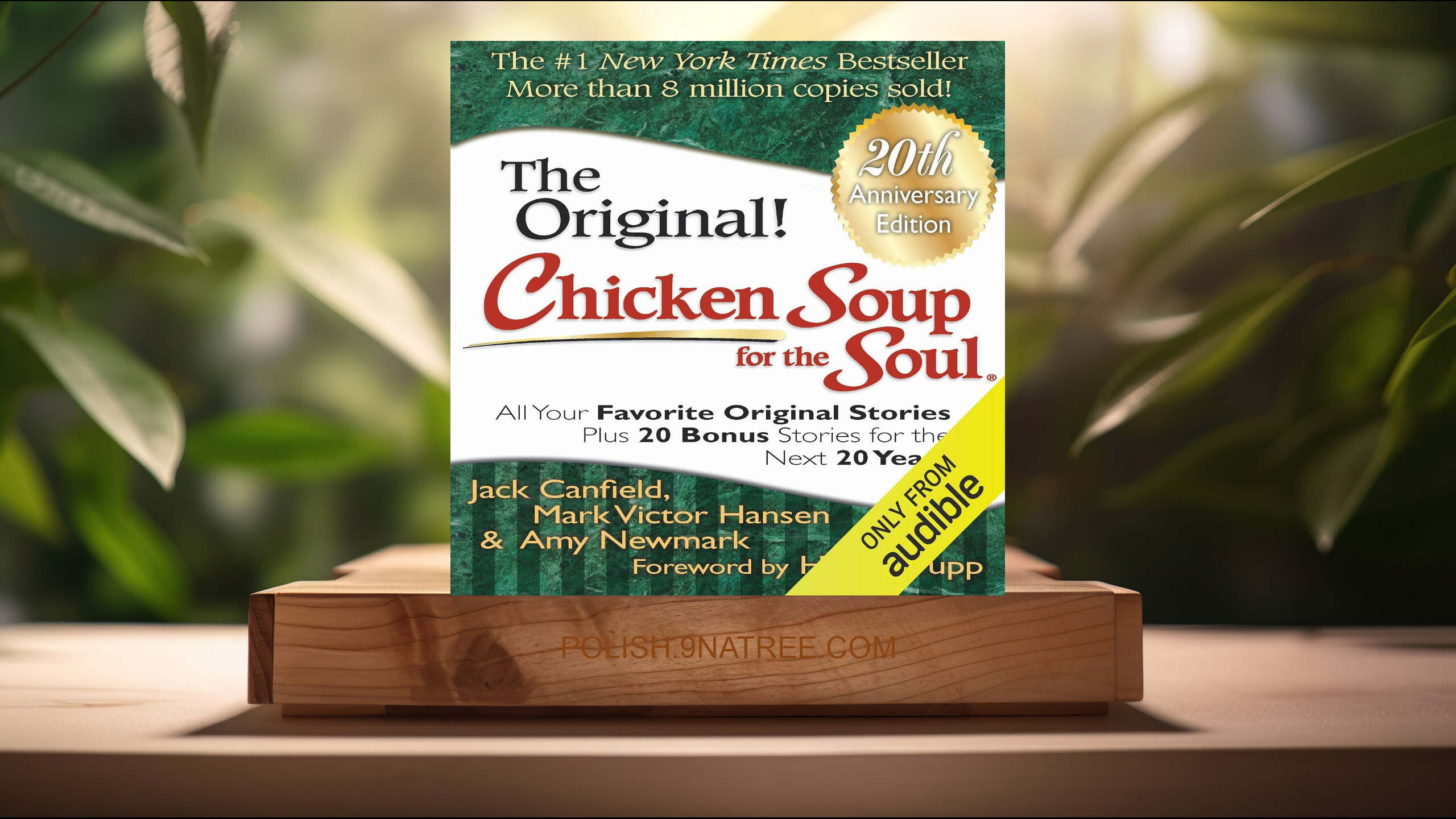 [Recenzja] Chicken Soup for the Soul 20th Anniversary Edition (Jack Canfield) Streszczenie.