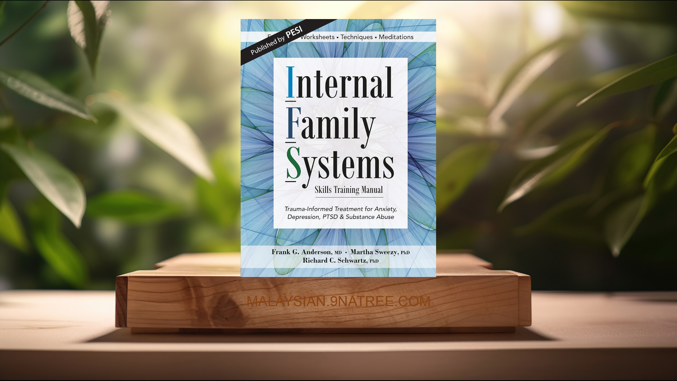 [Ulasan] Internal Family Systems Skills Training Manual (Frank Anderson) Diringkaskan.