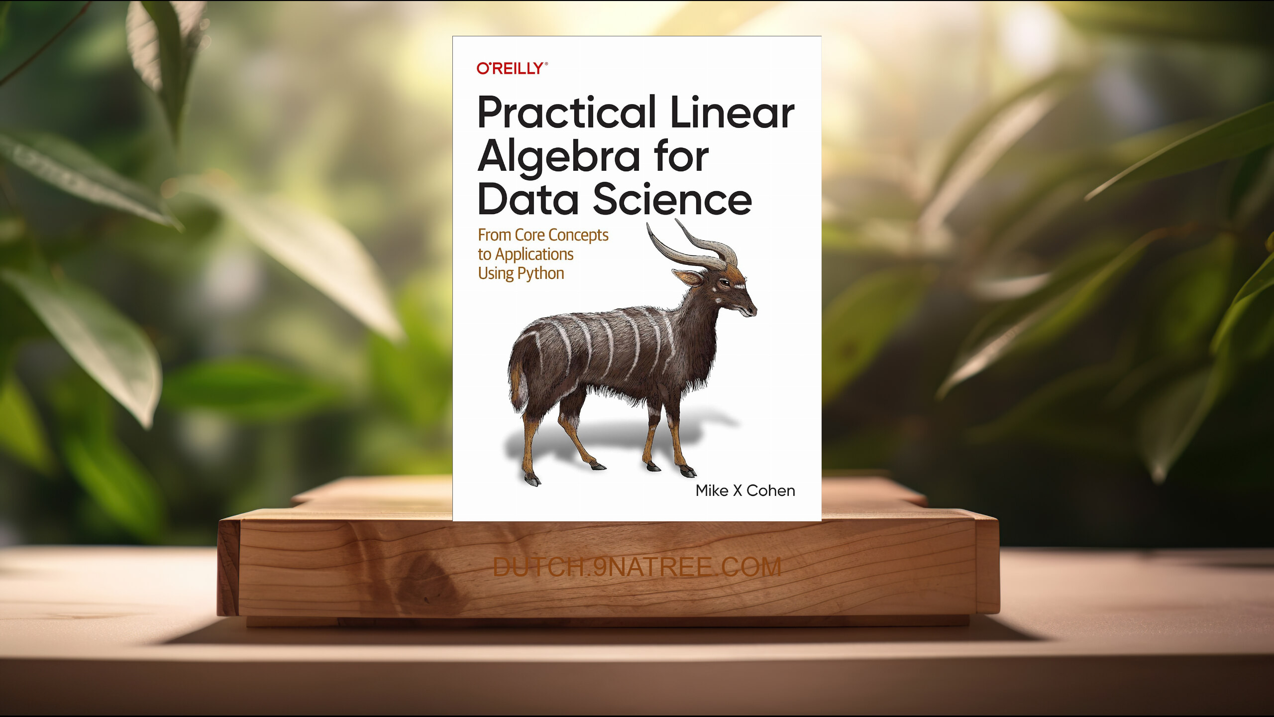 [Boekrecensie] Practical Linear Algebra for Data Science (Mike X Cohen) Boeksamenvatting.