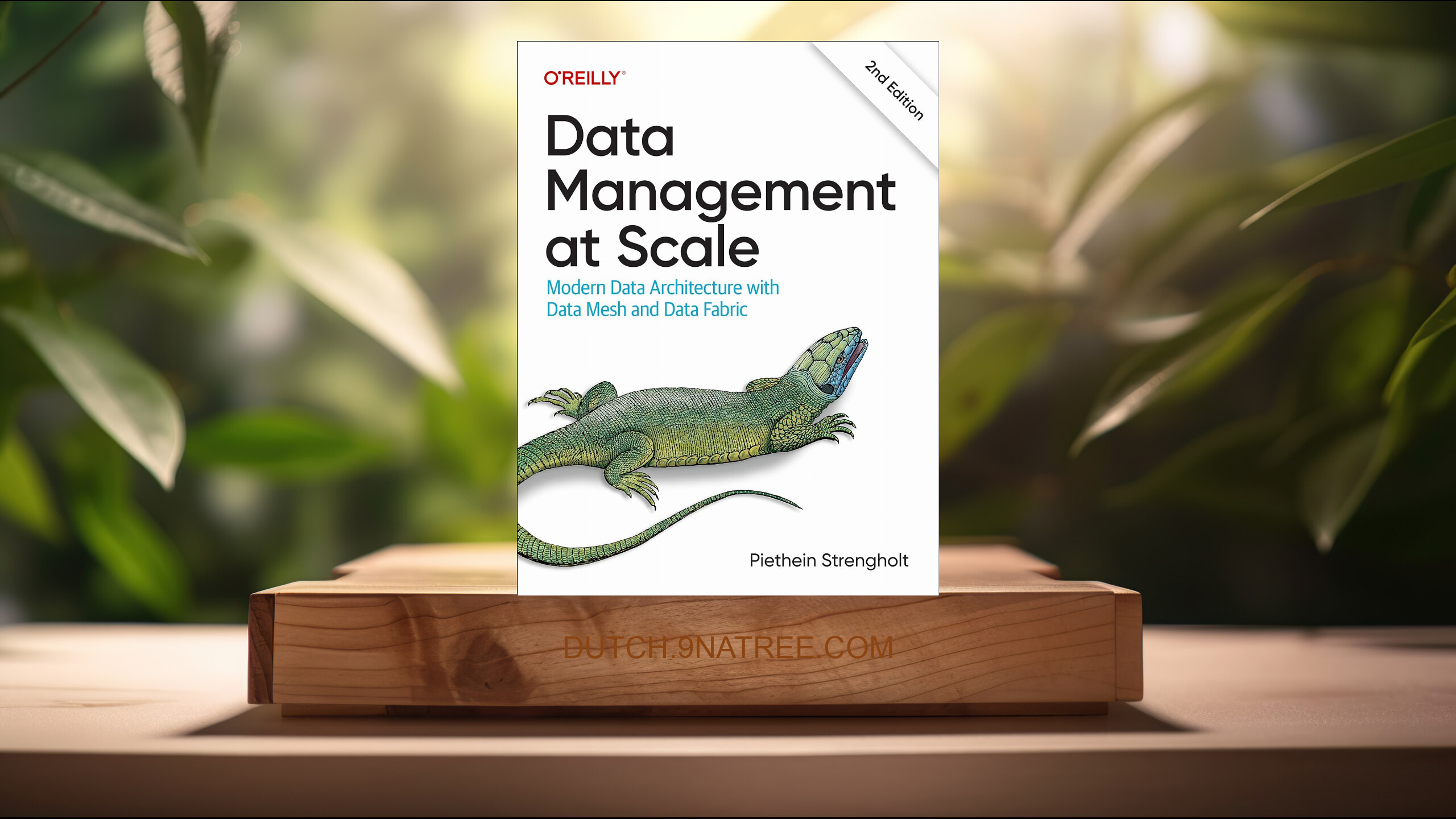 [Boekrecensie] Data Management at Scale (Piethein Strengholt) Boeksamenvatting.