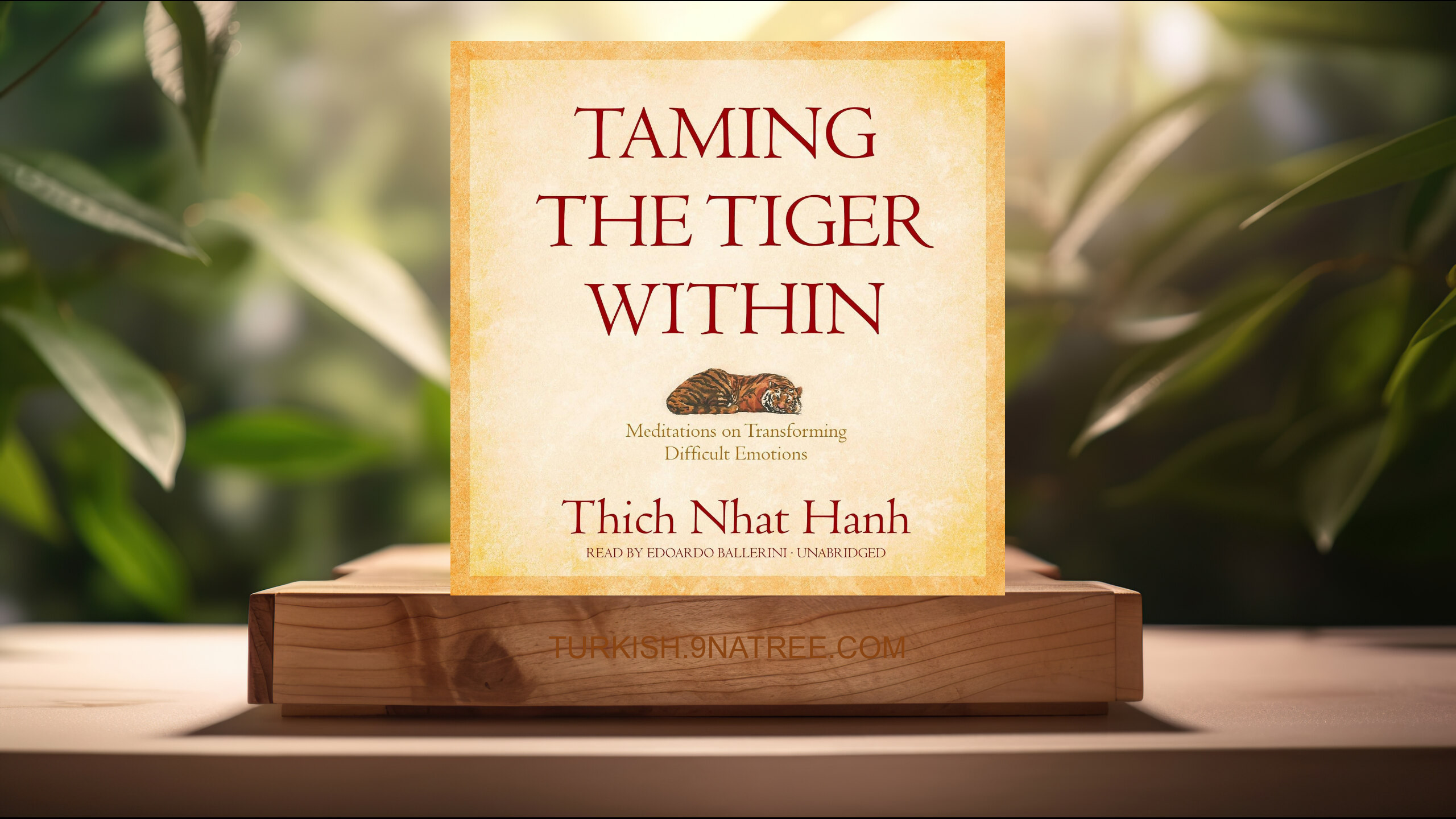 [İncelemesi] Taming the Tiger Within (Thich Nhat Hanh) Özeti.