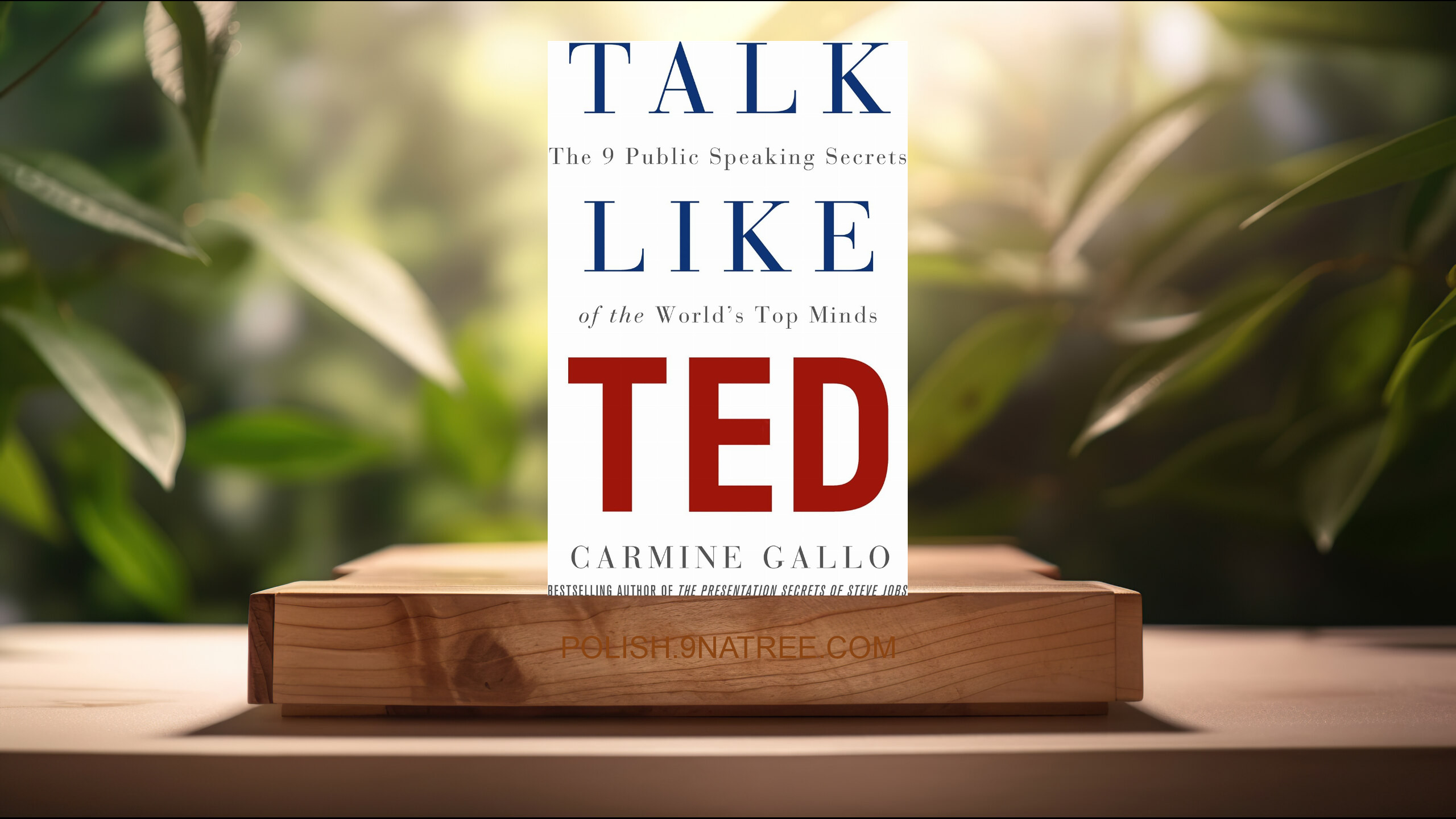 [Recenzja] Talk Like TED (Carmine Gallo) Streszczenie.