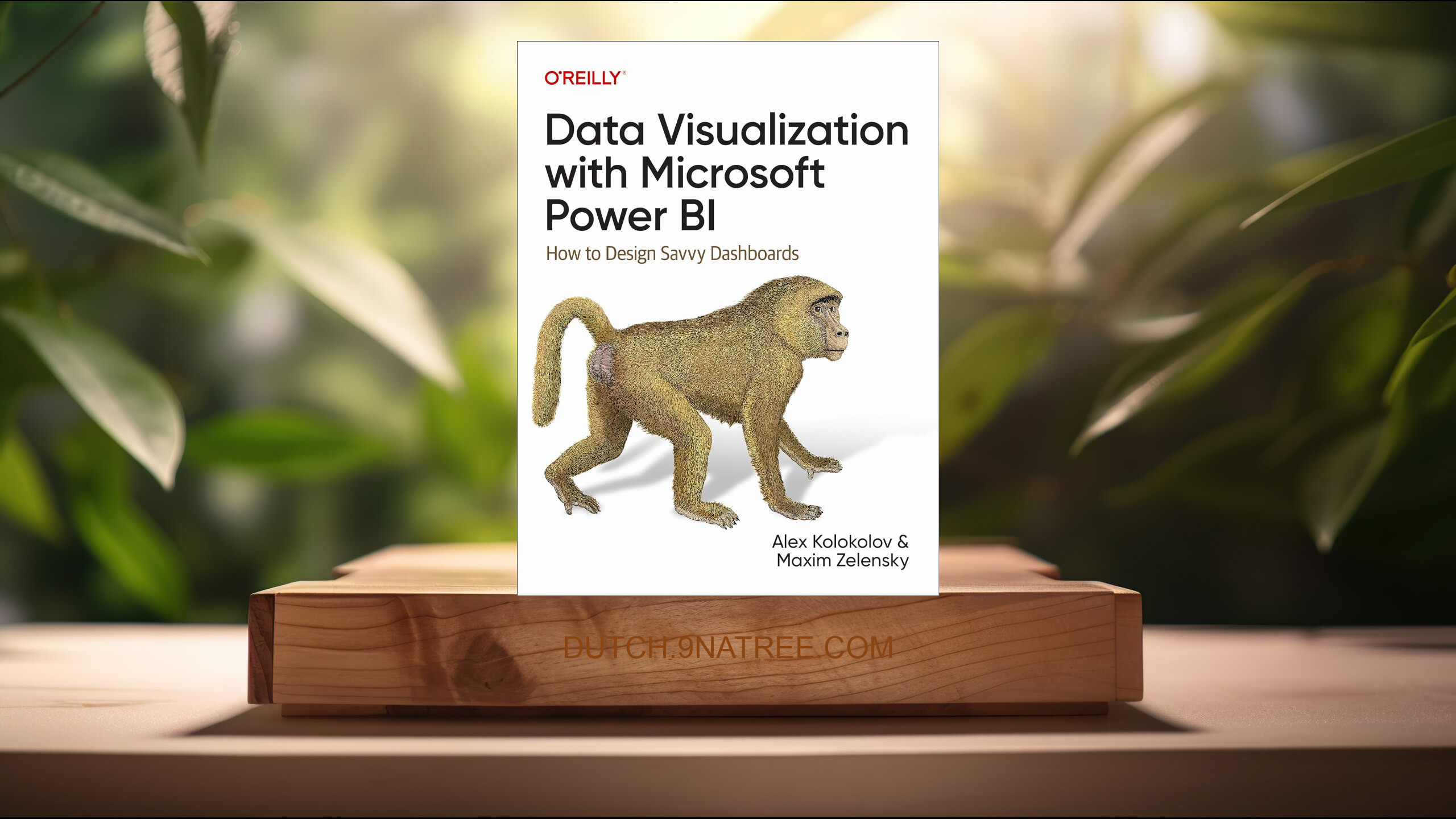 [Boekrecensie] Data Visualization with Microsoft Power BI (Alex Kolokolov) Boeksamenvatting.