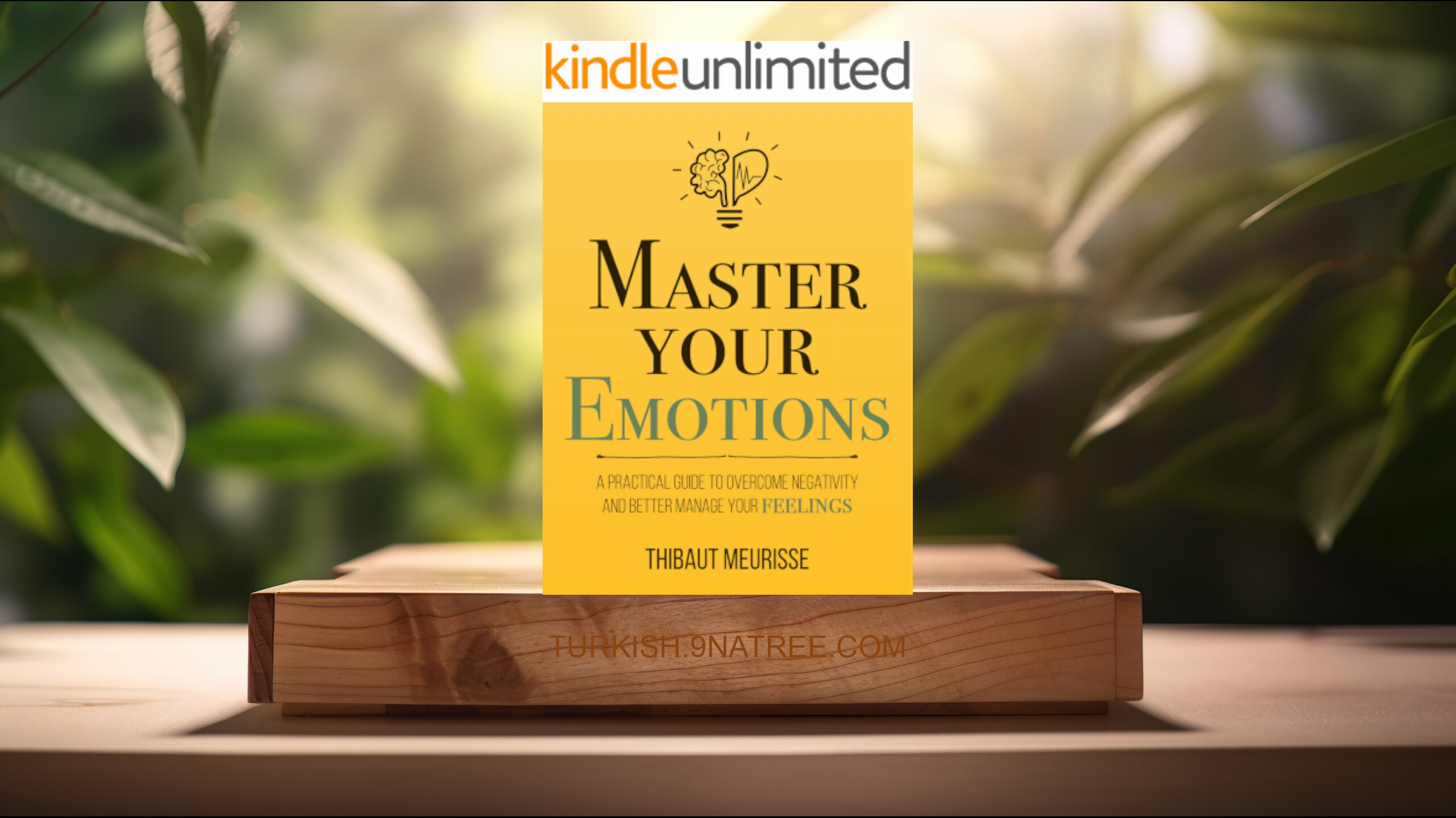 [İncelemesi] Master Your Emotions (thibaut  meurisse) Özeti.