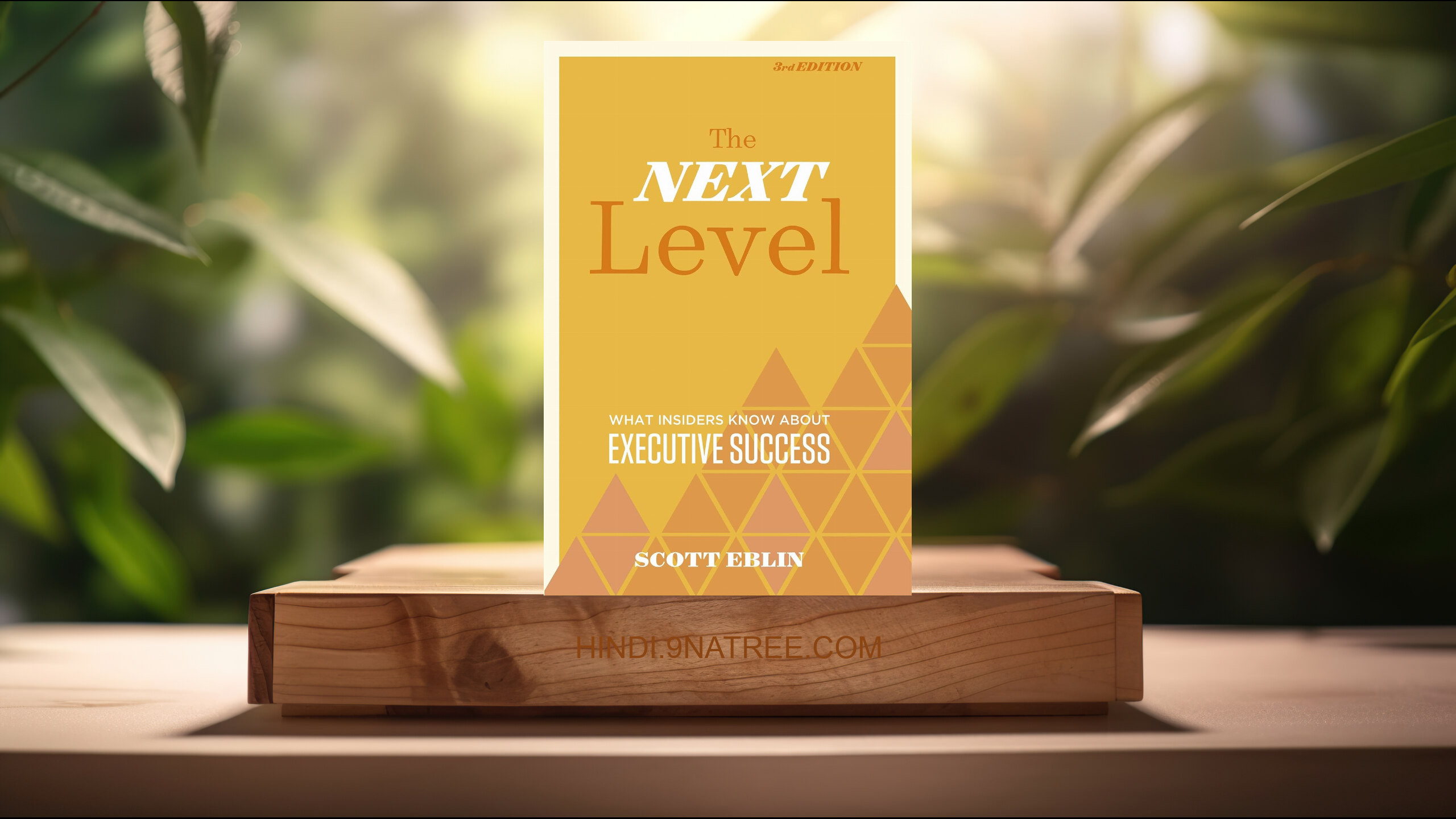 [समीक्षा] The Next Level, 3rd Edition (Scott Eblin) सारांशित. episode artwork