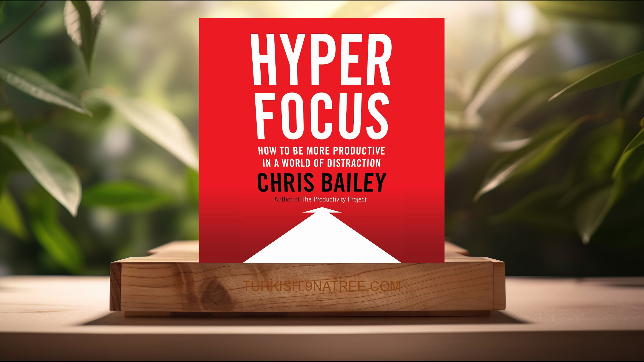 [İncelemesi] Hyperfocus: How to Be More Productive in a World of Distraction (Chris Bailey) Özeti.