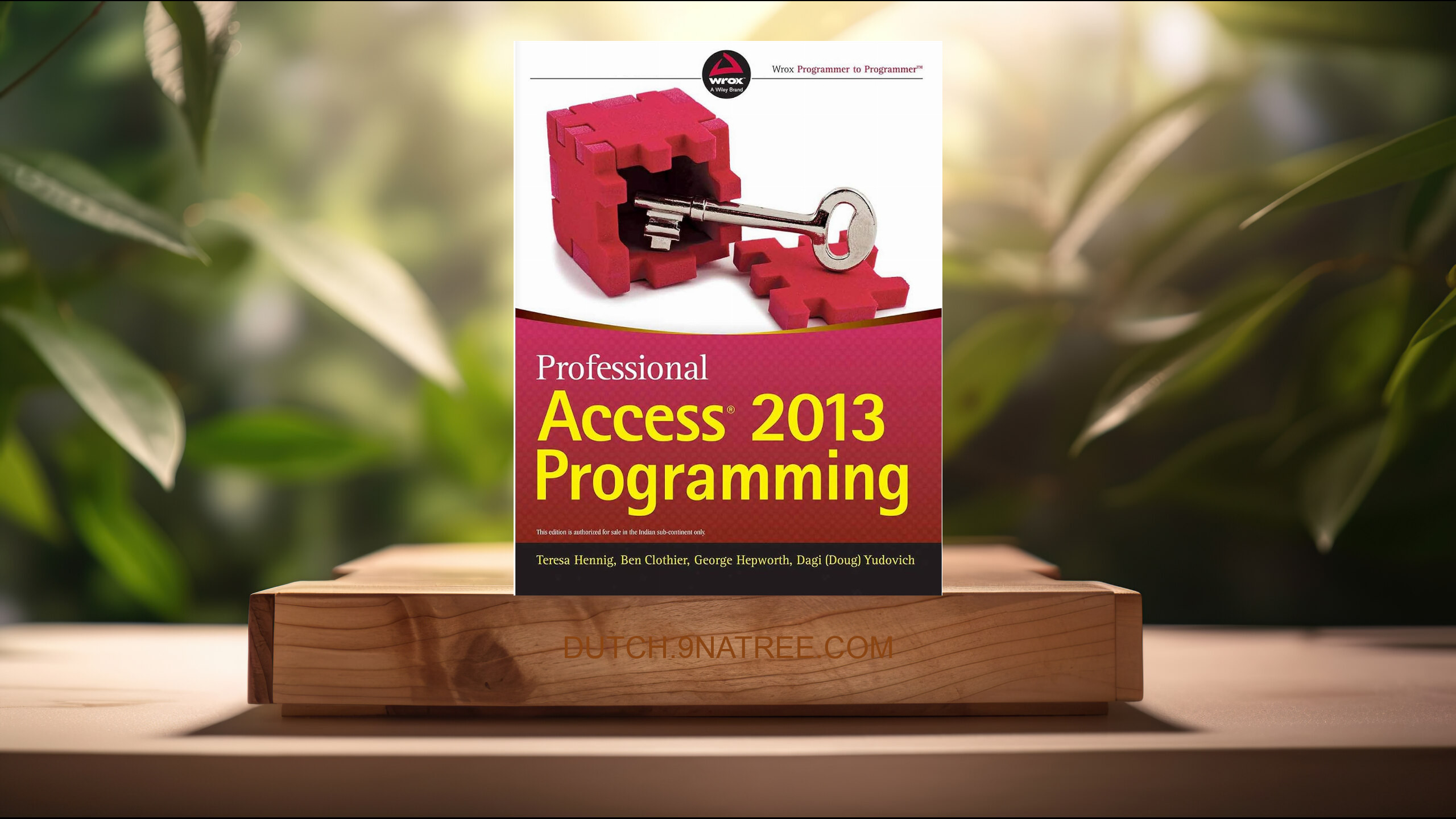 [Boekrecensie] Professional Access 2013 Programming (Teresa Hennig) Boeksamenvatting.