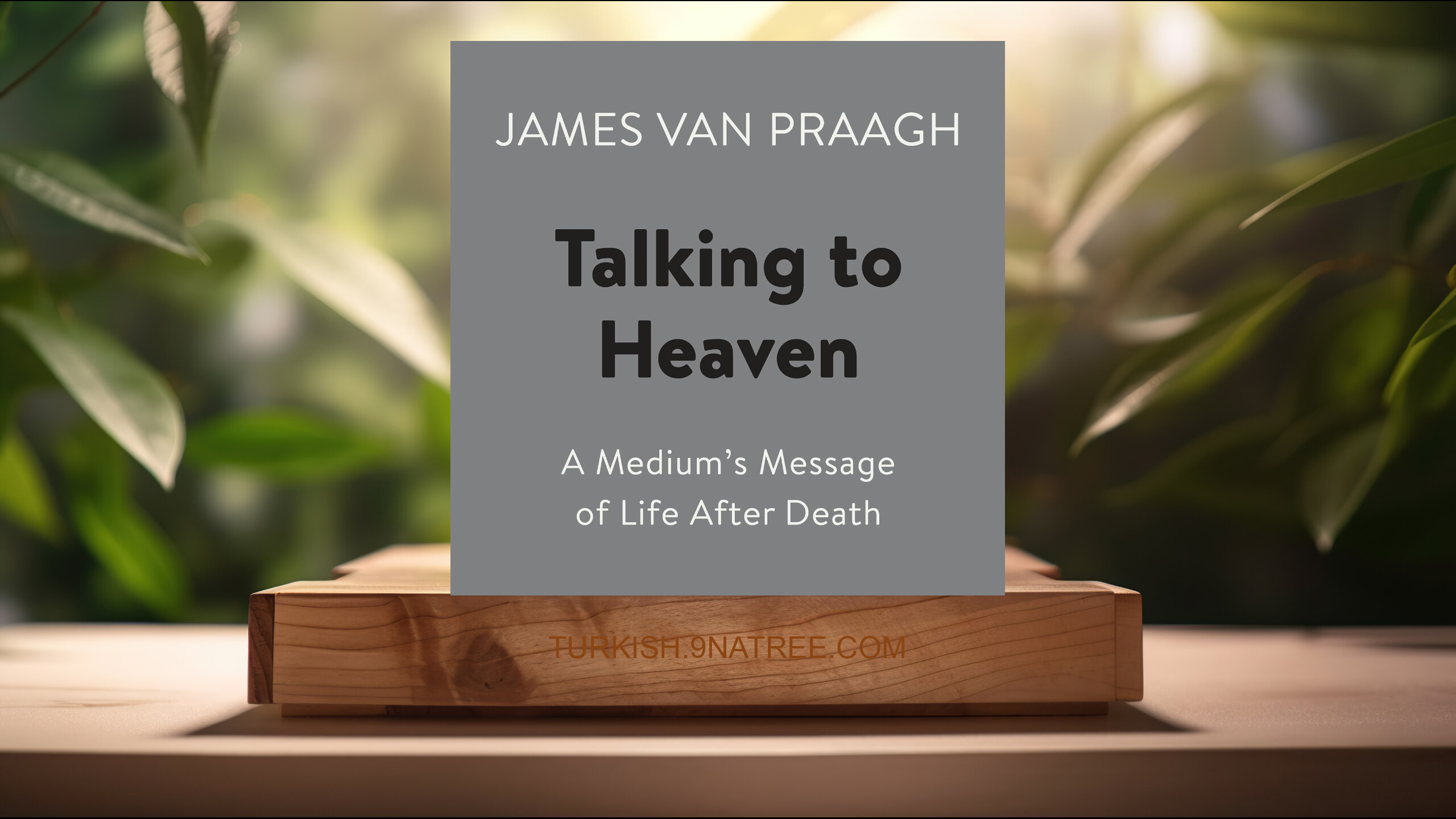[İncelemesi] Talking to Heaven: A Medium's Message of Life After Death (James Van Praagh) Özeti.