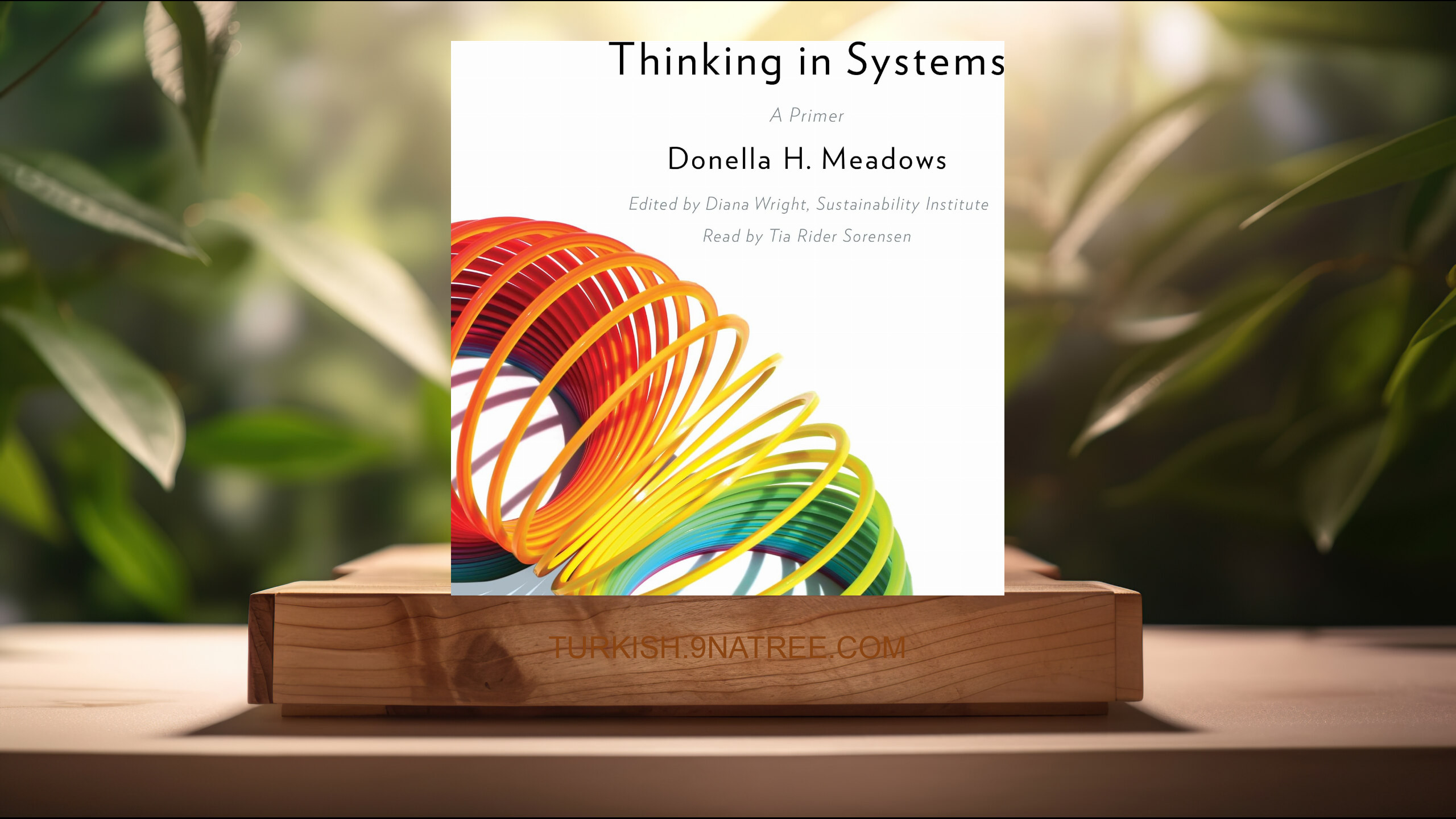 [İncelemesi] Thinking in Systems: A Primer (Donella H. Meadows) Özeti.