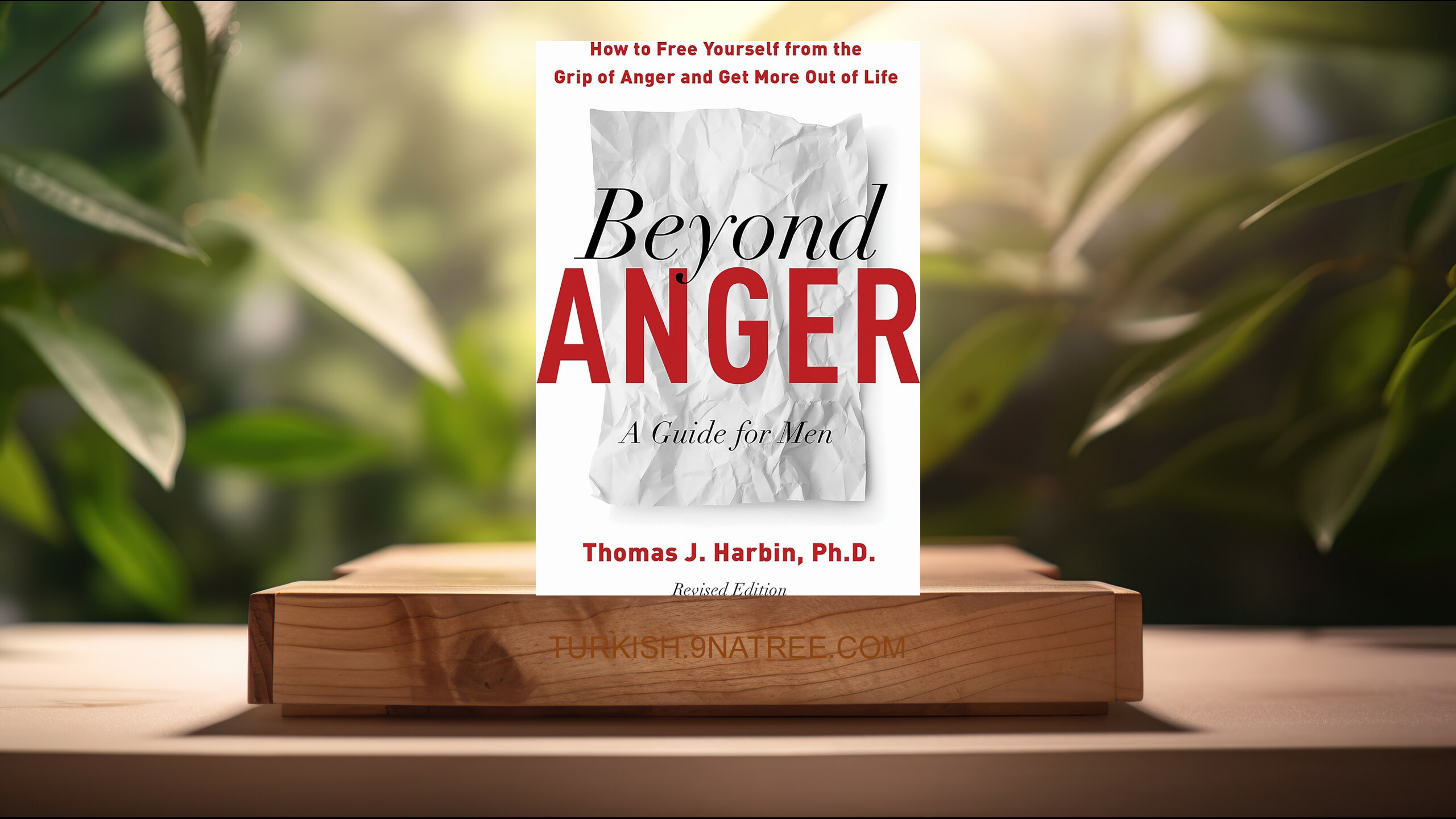 [İncelemesi] Beyond Anger (Thomas J. Harbin) Özeti.