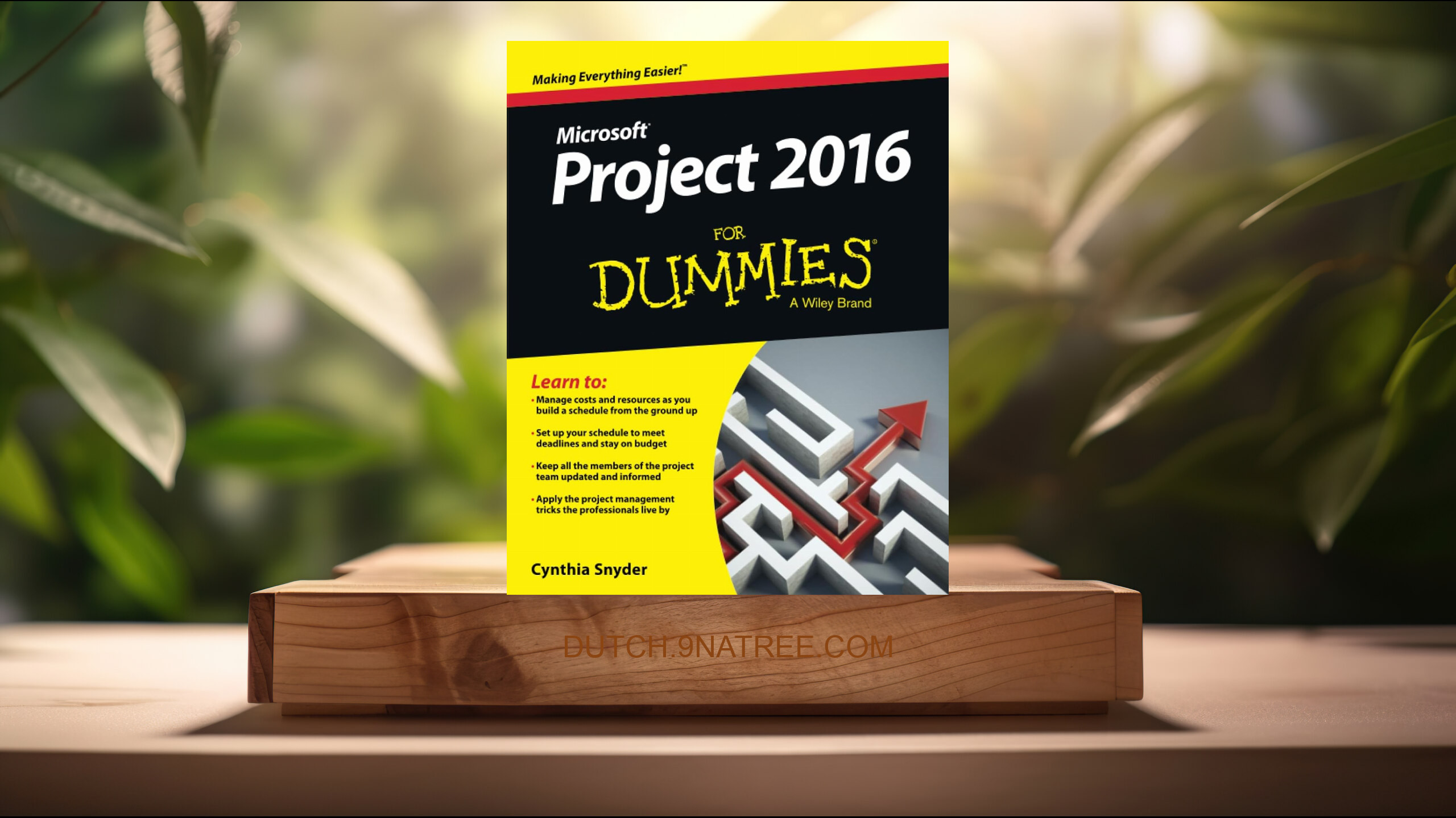 [Boekrecensie] Project 2016 For Dummies (Cynthia Snyder Dionisio) Boeksamenvatting.
