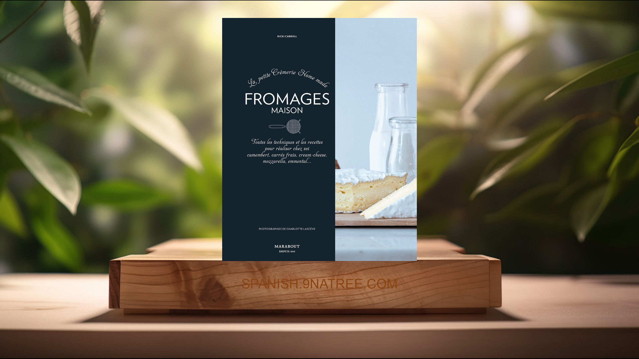 [Reseña] Fromages maison: La petite Crémerie Home made (Ricki Carroll) Resumida.