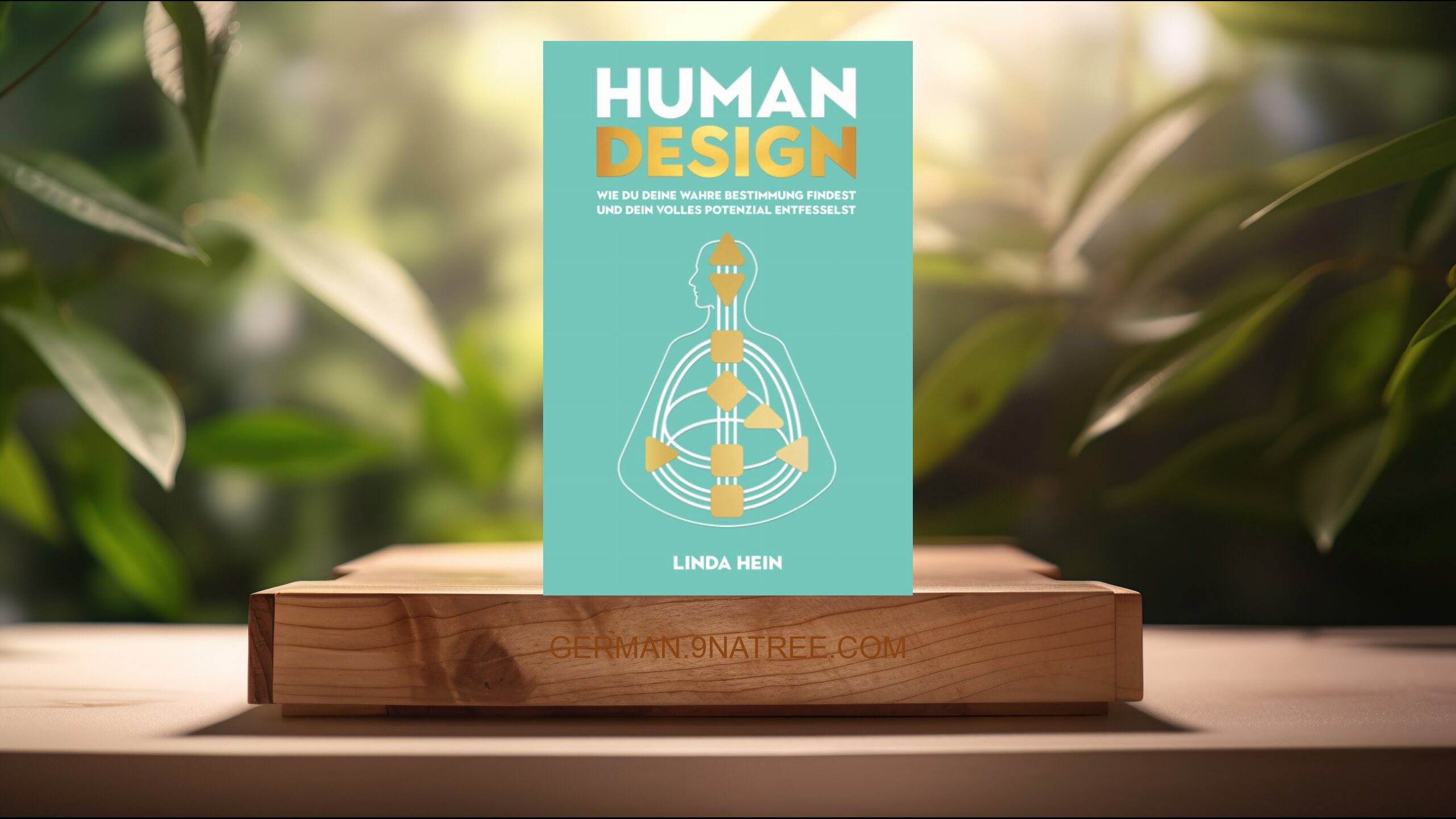 [Rezensiert] Human Design (Linda Hein) Zusammengefasst.