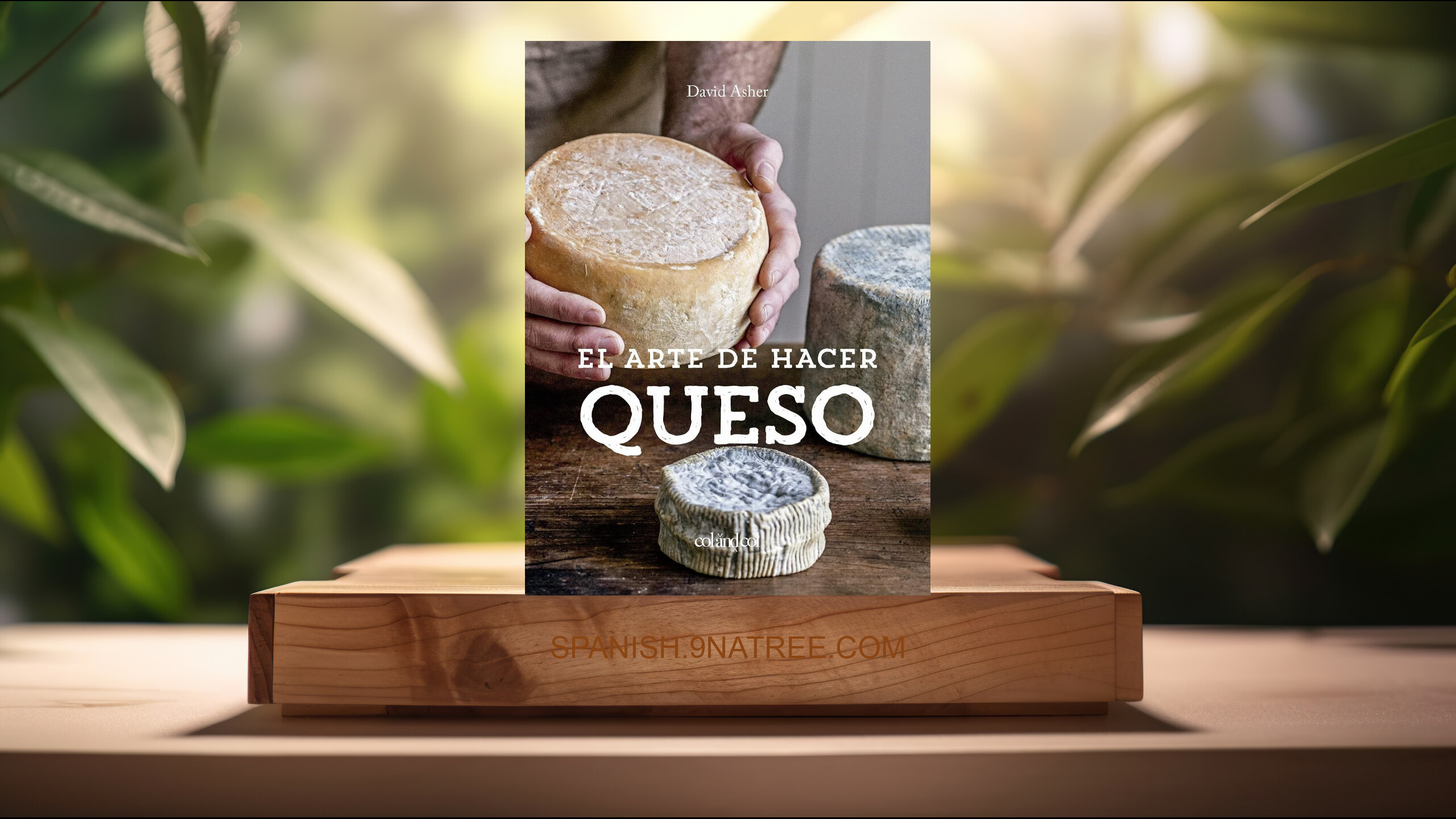 [Reseña] EL ARTE DE HACER QUESO (David Asher Rotsztain) Resumida.