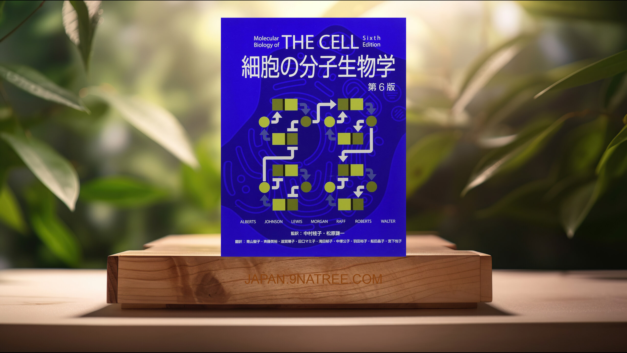 [レビュー] 細胞の分子生物学 第6版 (ALBERTS) 要約した.