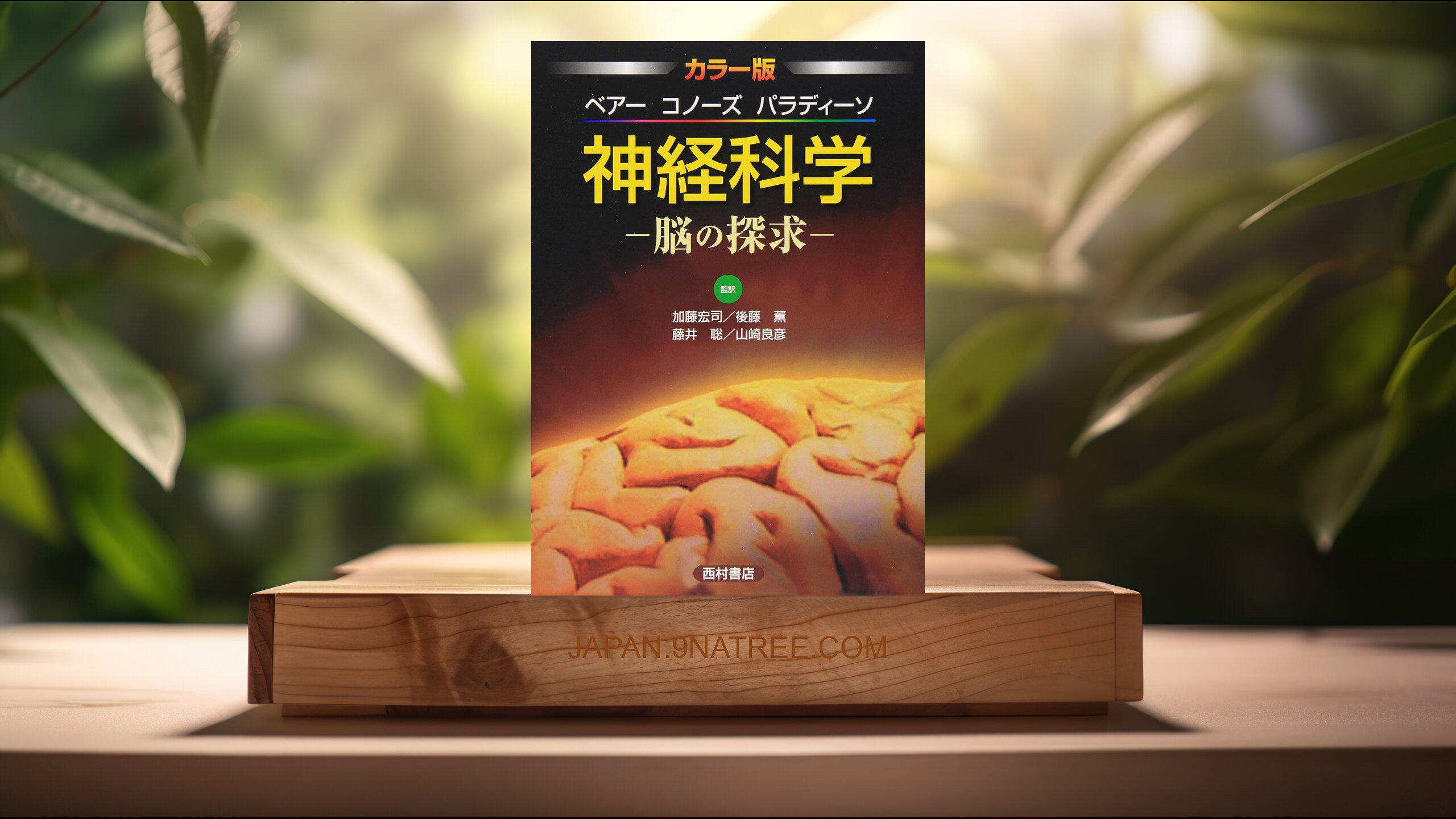 [レビュー] 神経科学 脳の探求 カラー版: 脳の探求 (M.F.ベアー) 要約した.