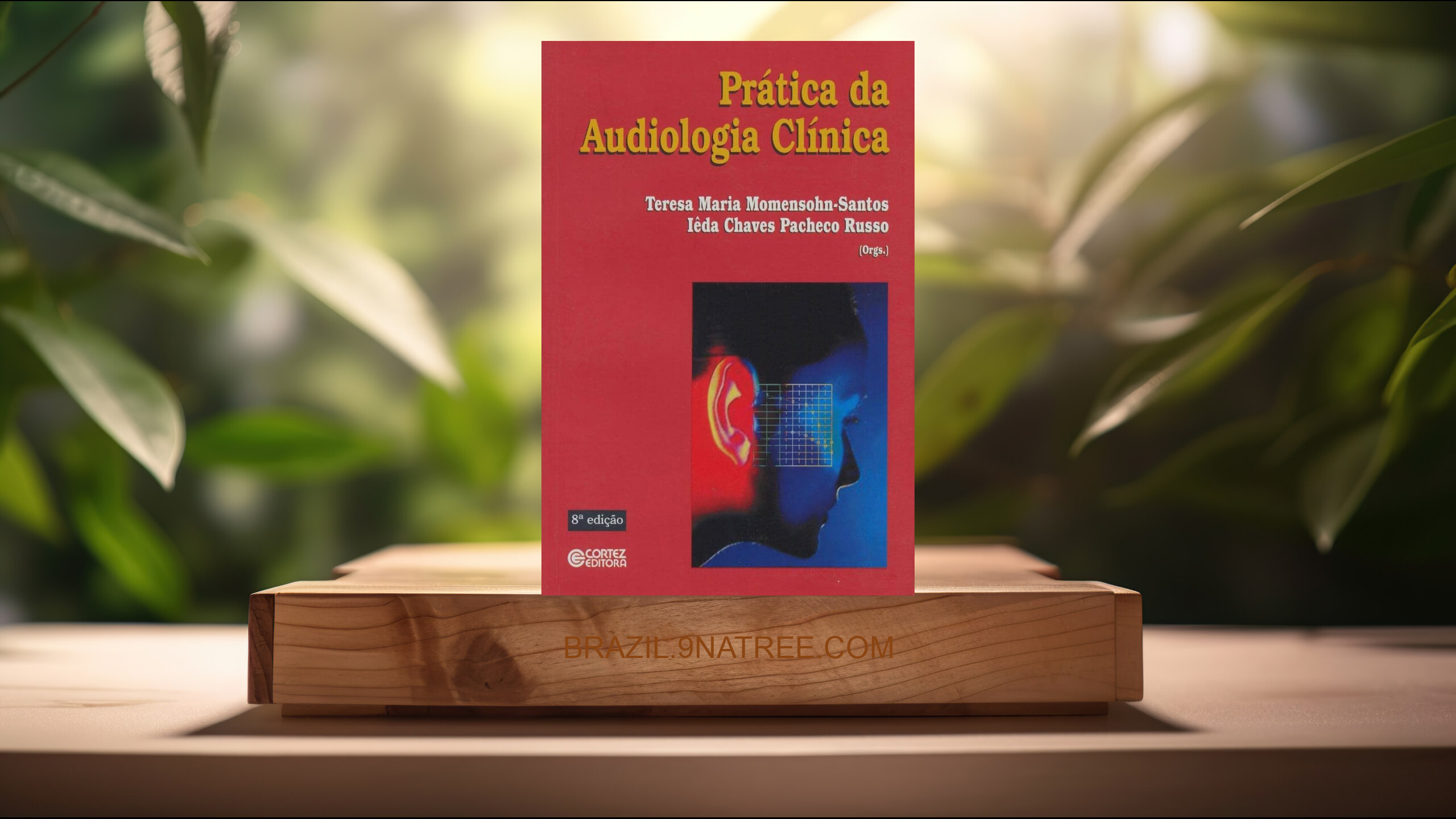 [Análises] Prática da audiologia clínica (Iêda C. Pacheco Russo) Resumidos.