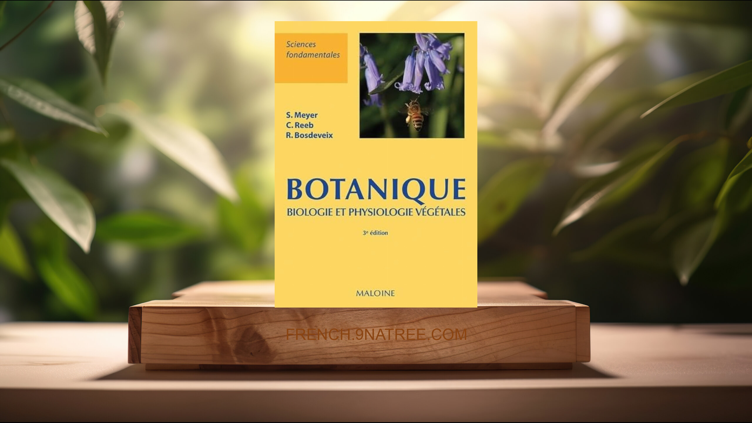 [Critique] Botanique. Biologie et physiologie végétales (Sylvie Meyer) Résumé.