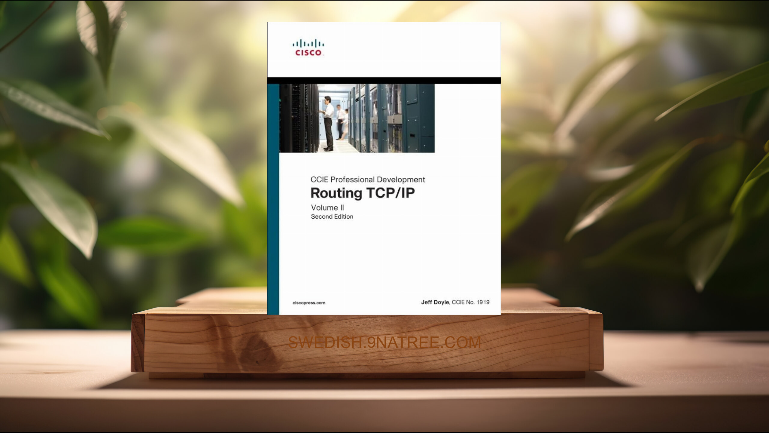 [Recension] Routing TCP/IP: CCIE Professional Development, Volume 2 (Jennifer Carroll) Sammanfattad.