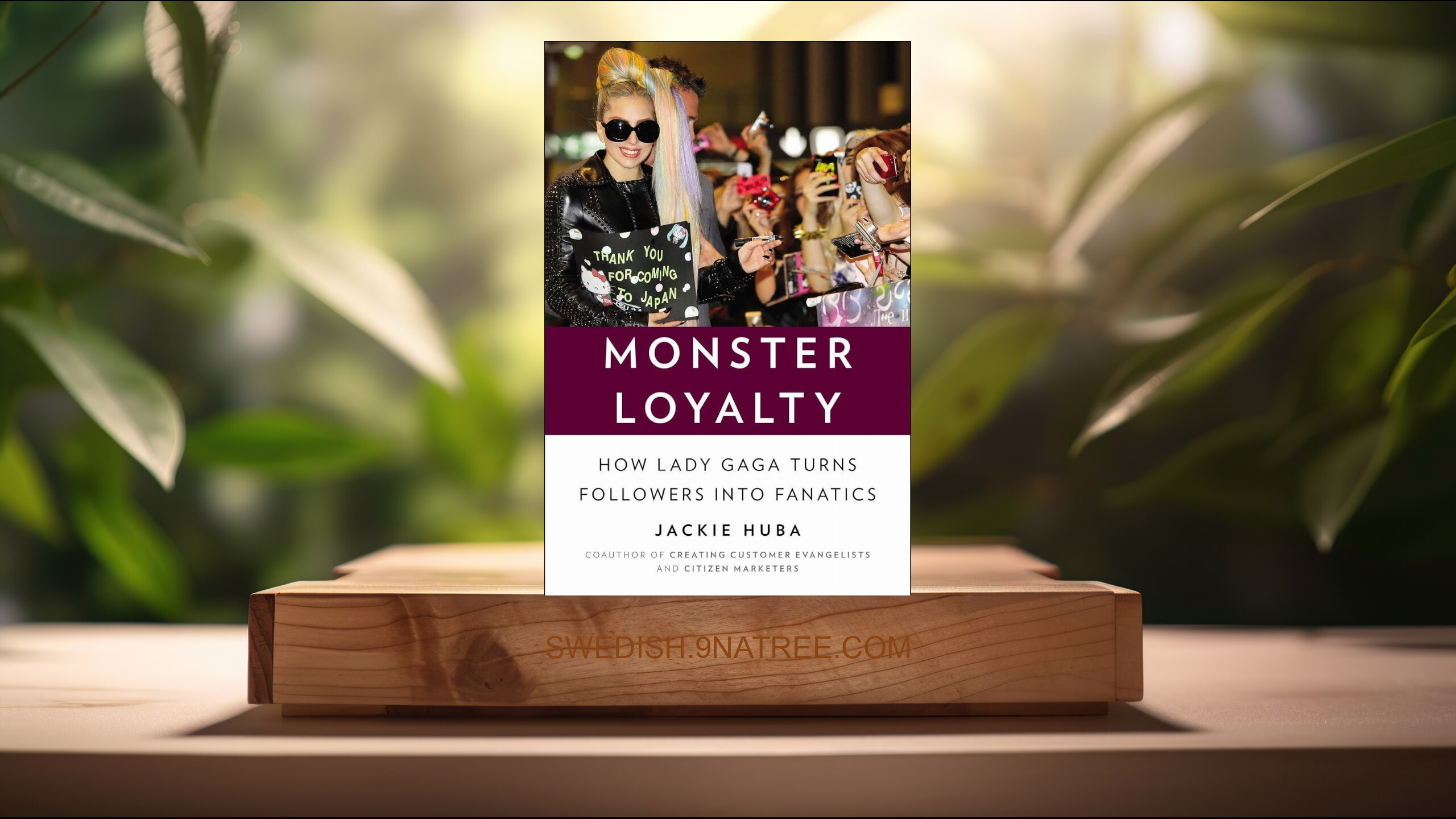 [Recension] Monster Loyalty: How Lady Gaga Turns Followers into Fanatics (Jackie Huba) Sammanfattad.
