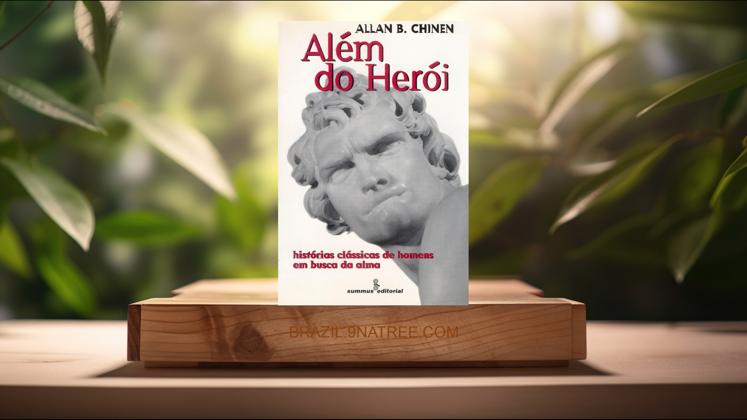 [Análises] Além do herói: histórias clássicas de homens em busca da alma (Allan B. Chinen) Resumidos.