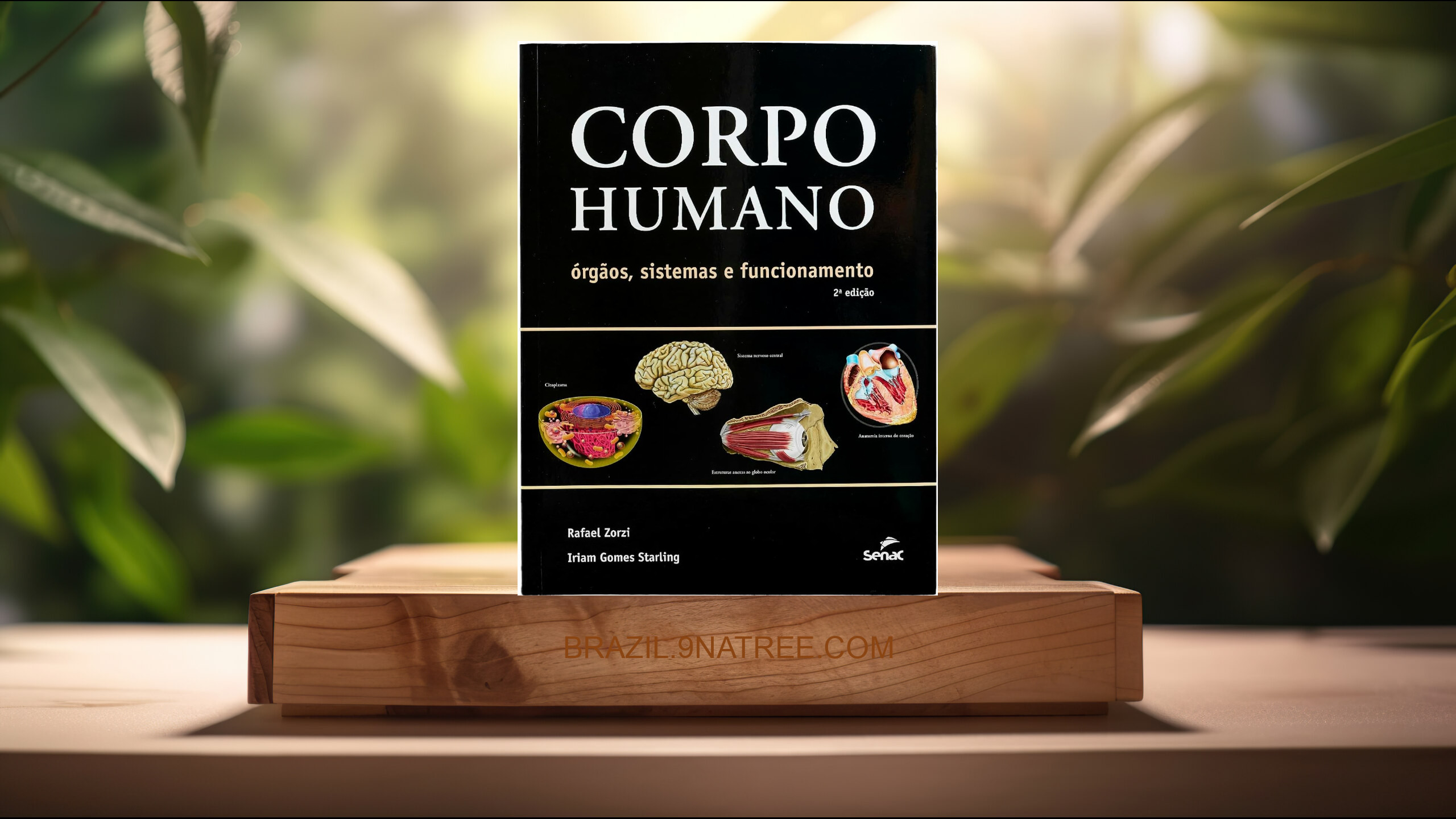 [Análises] Corpo humano: Órgãos, sistemas e funcionamento (Iriam Starling) Resumidos.