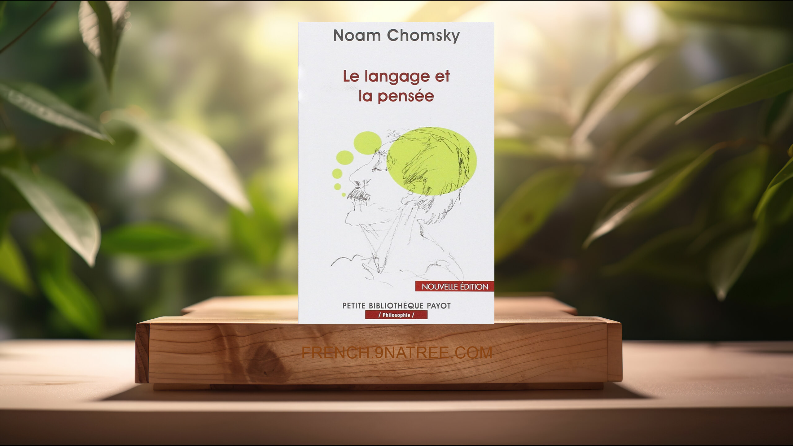 [Critique] LE LANGAGE ET LA PENSEE (Noam Chomsky) Résumé.