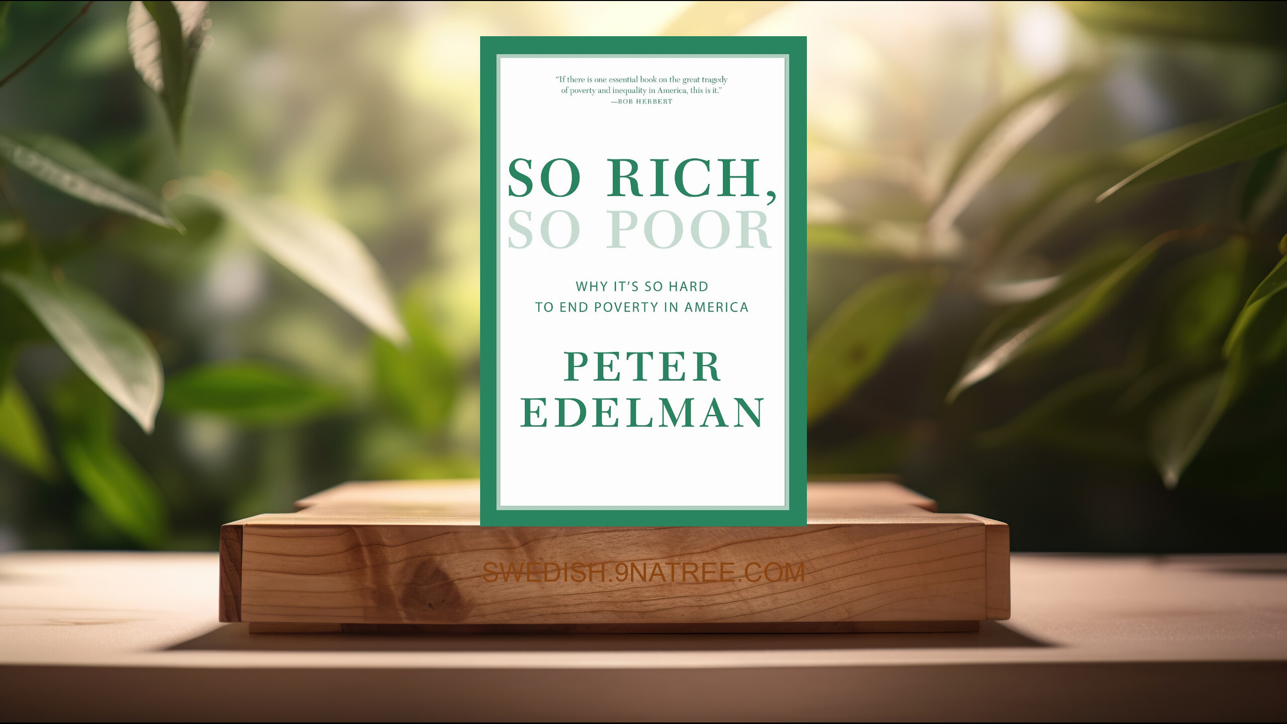 [Recension] So Rich, So Poor: Why It's So Hard to End Poverty in America (Peter Edelman) Sammanfattad.