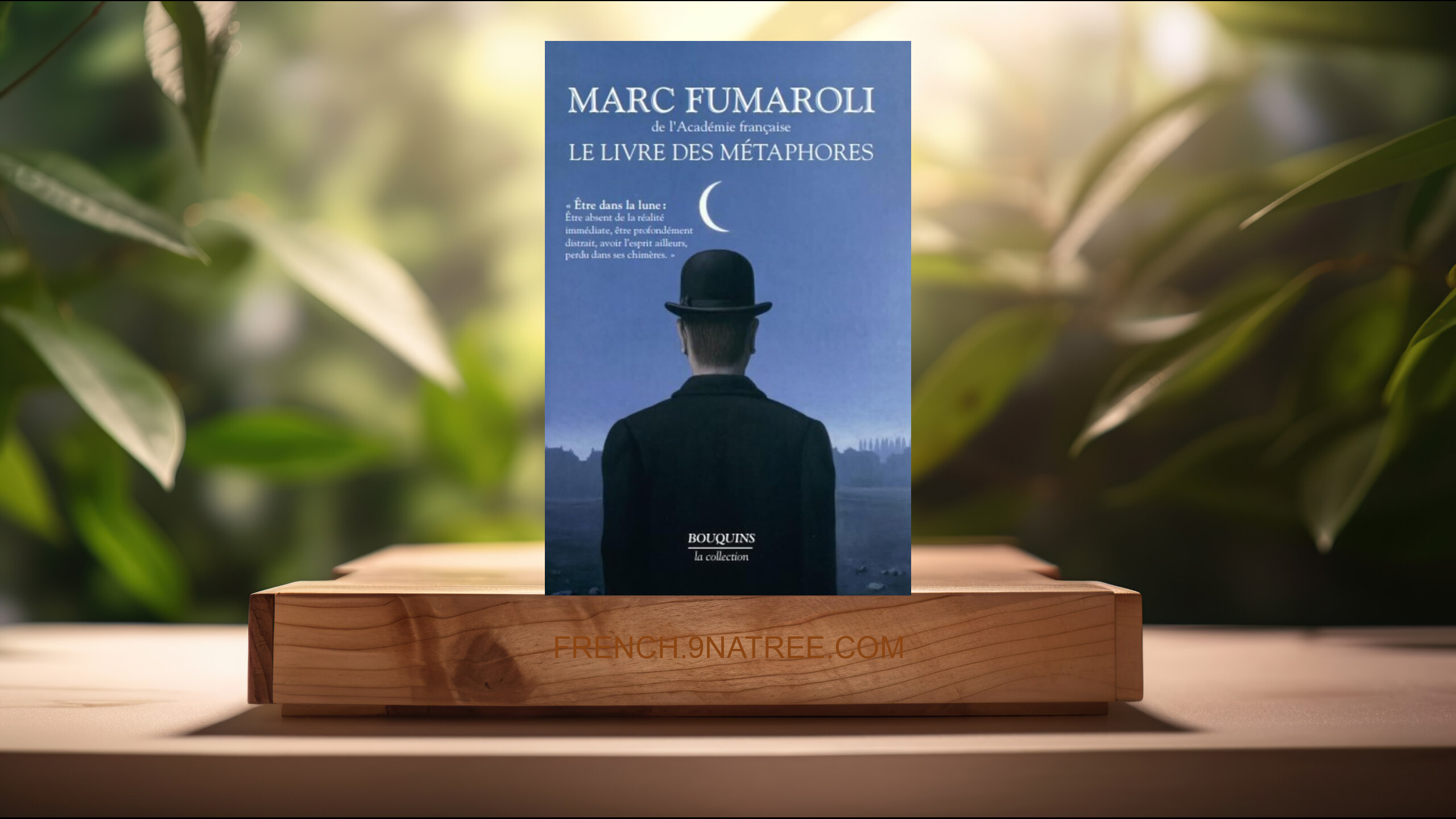 [Critique] Le Livre des métaphores (Marc Fumaroli) Résumé.