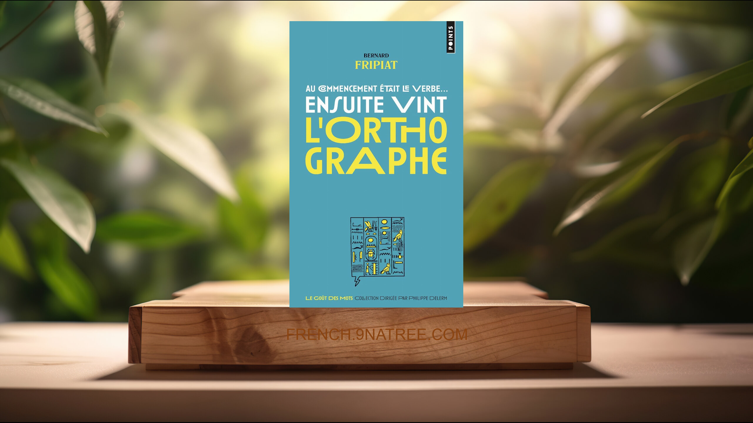 [Critique] Au commencement était le verbe... ensuite vint l'orthographe ! (Bernard Fripiat) Résumé.