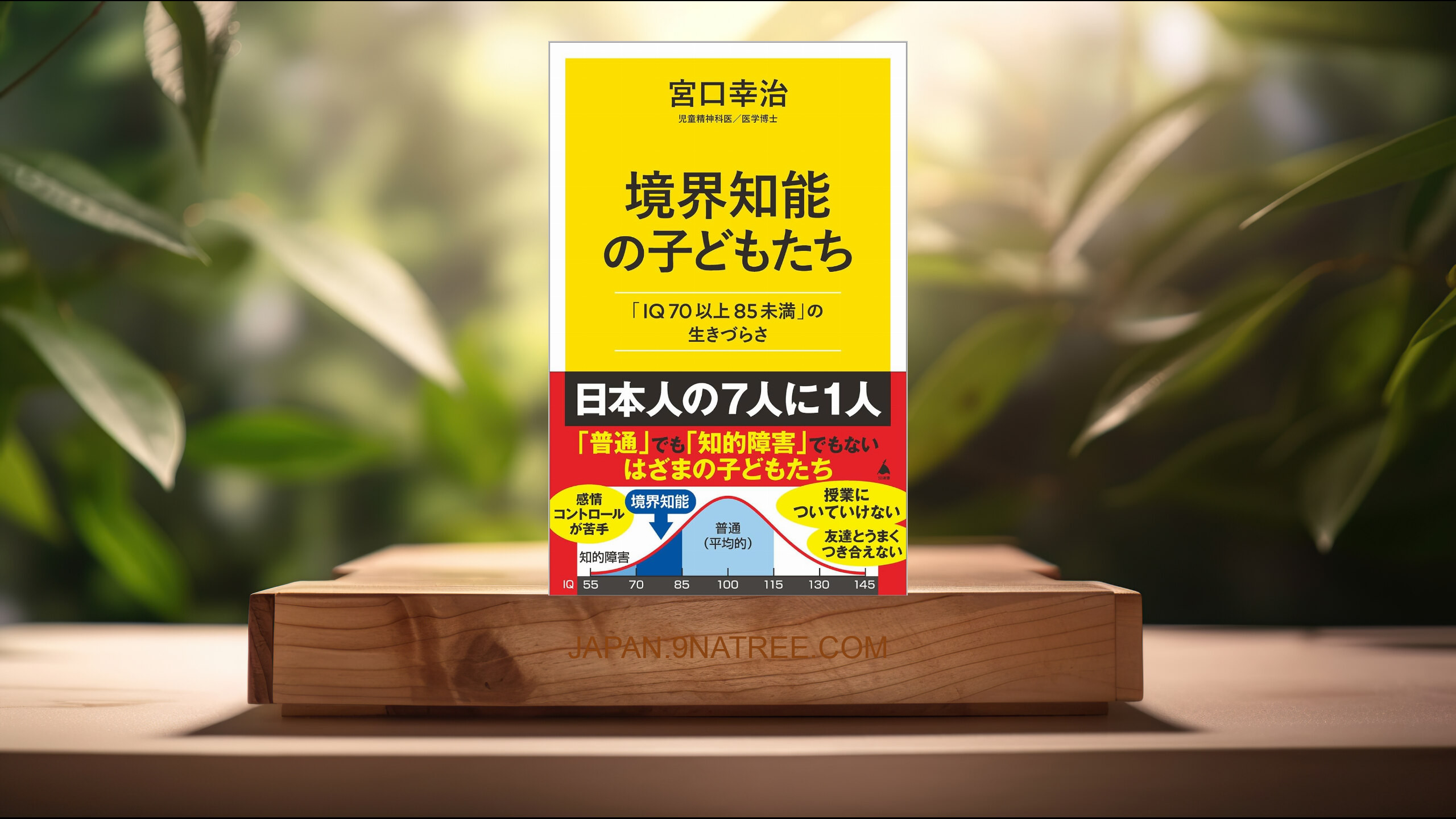 [レビュー] 境界知能の子どもたち 「IQ70以上85未満」の生きづらさ  (宮口 幸治) 要約した.