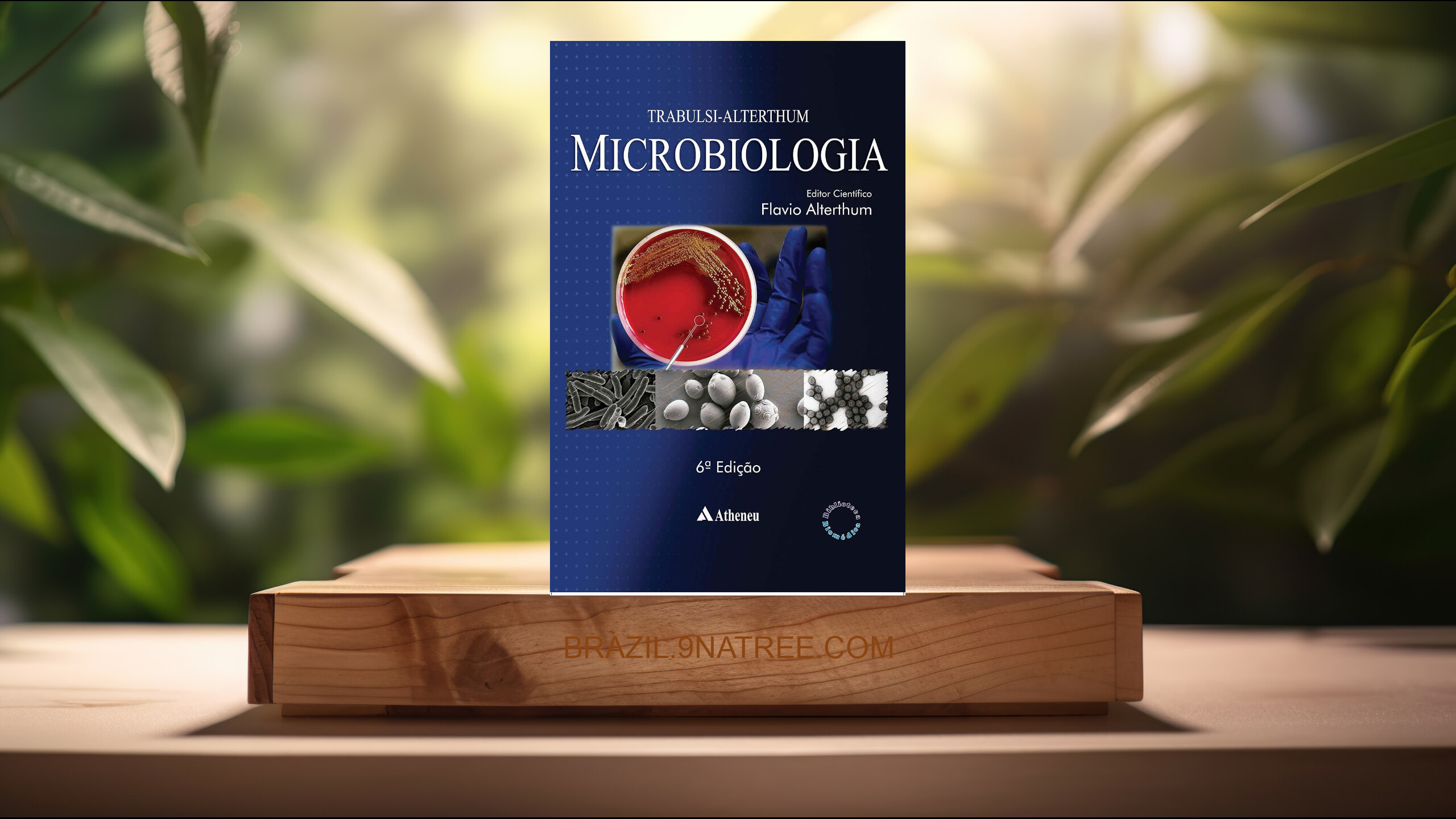 [Análises] Microbiologia (Flávio Alterthum) Resumidos.