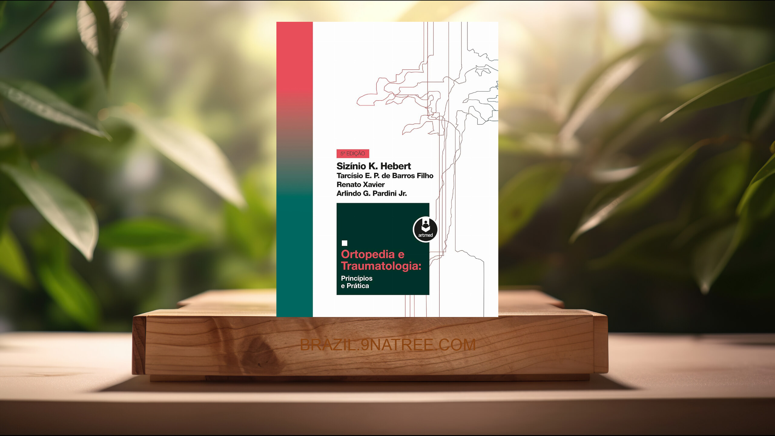 [Análises] Ortopedia e Traumatologia: Princípios e Práticas (Sizínio Hebert) Resumidos.