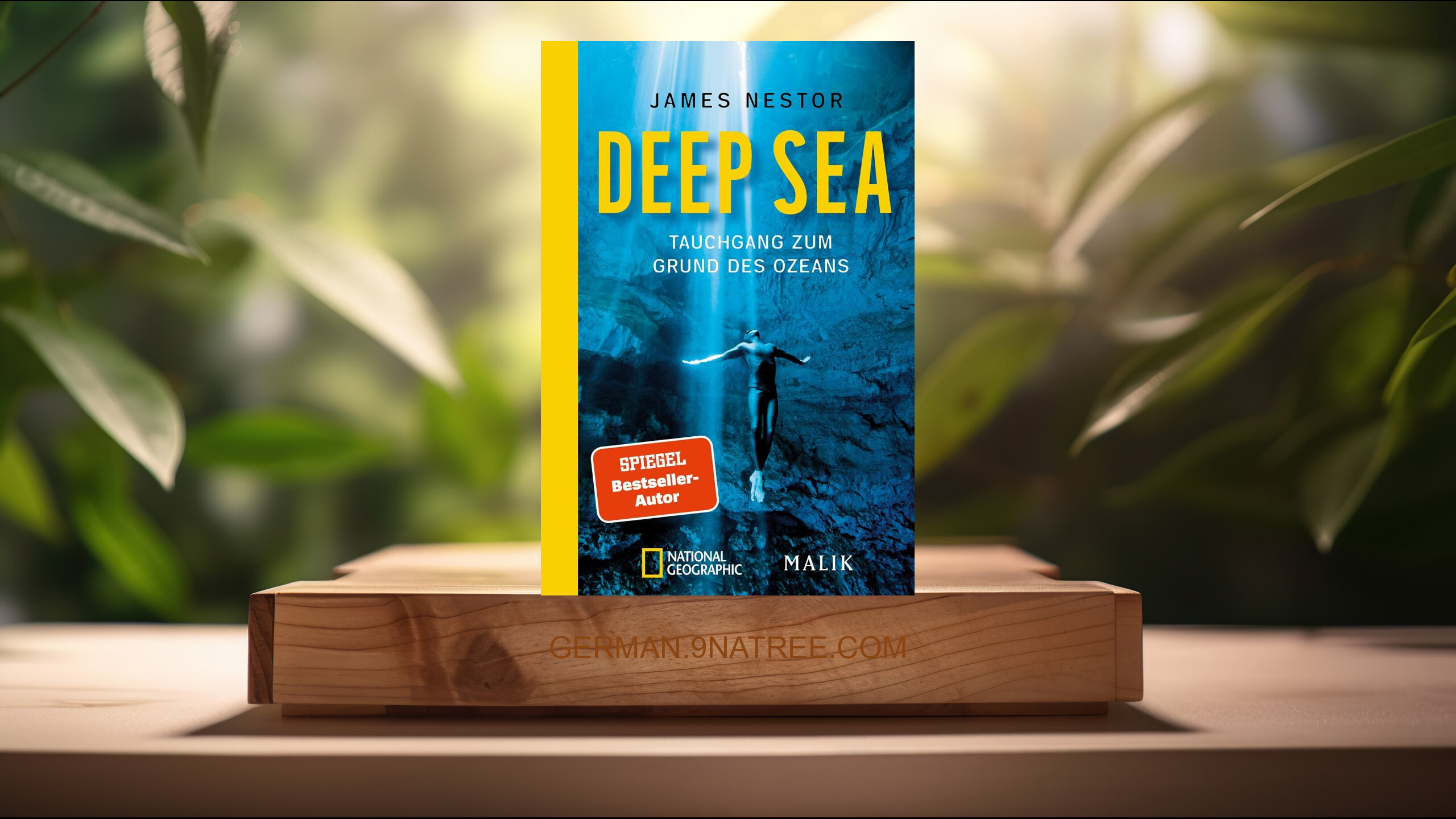 [Rezensiert] Deep Sea (James Nestor) Zusammengefasst.