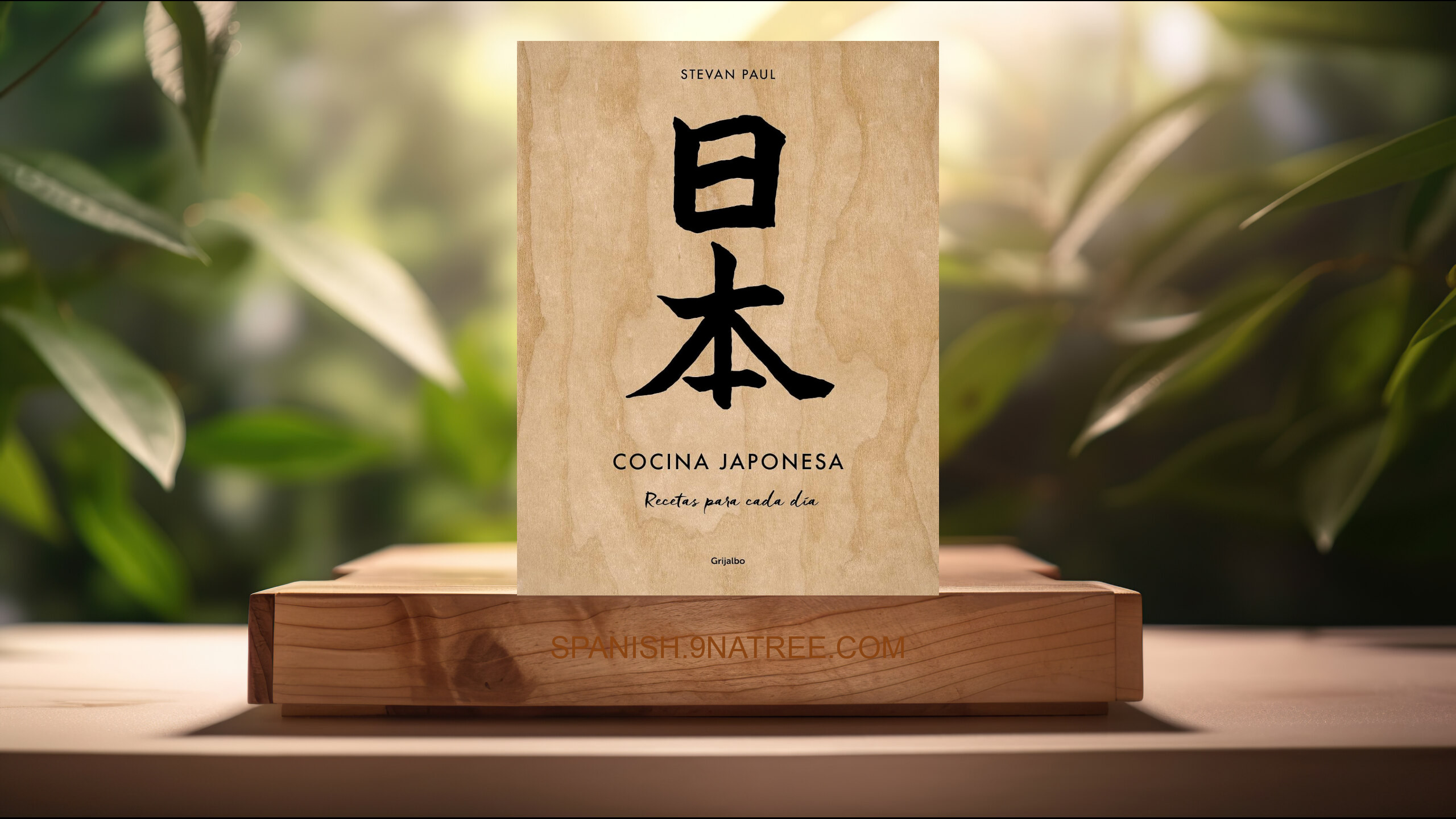 [Reseña] Cocina japonesa: Recetas para cada día  (Stevan Paul) Resumida.