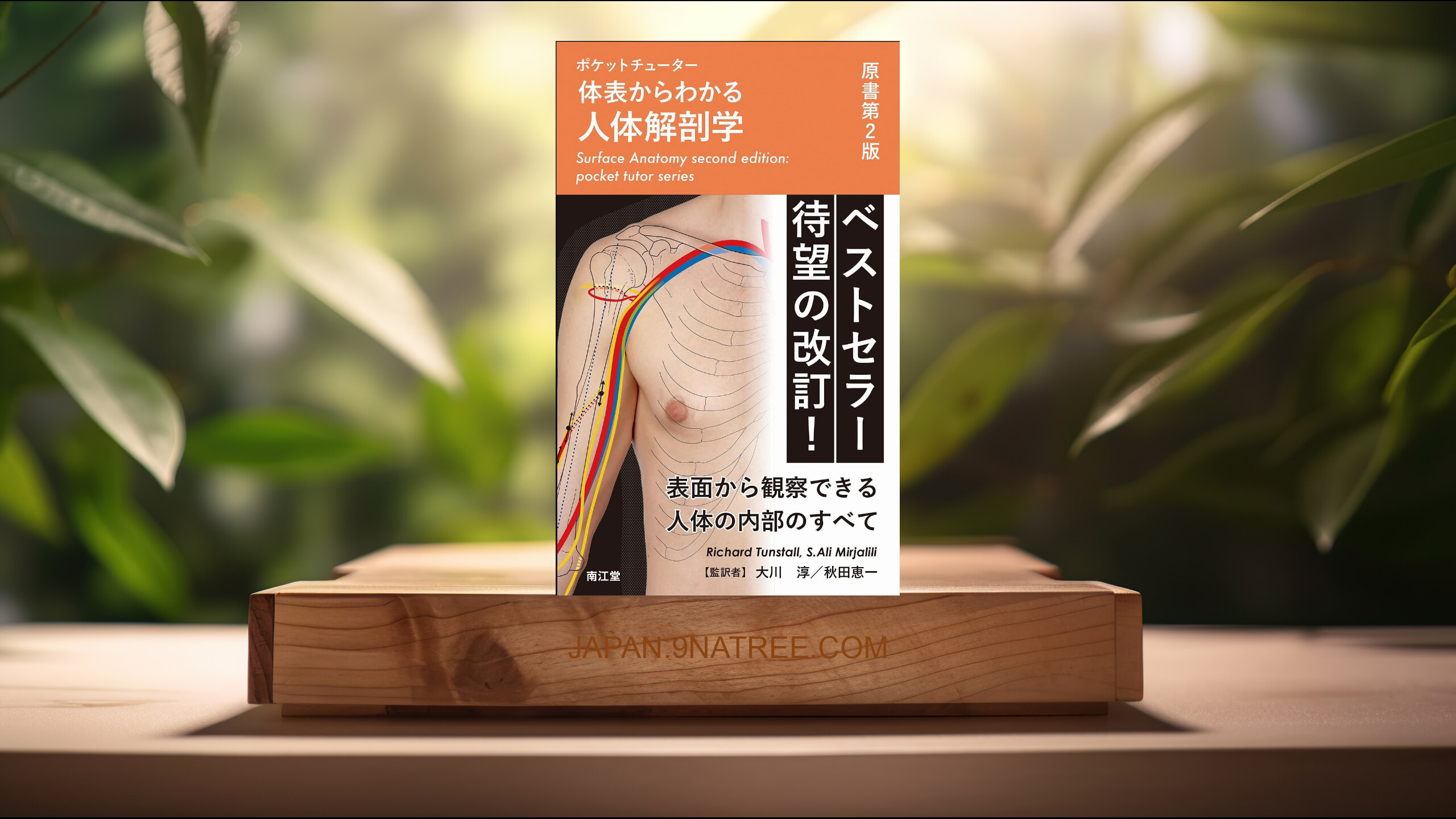 [レビュー] ポケットチューター体表からわかる人体解剖学 (Richard Tunstall &amp; S.Ali Mirjalili) 要約した.